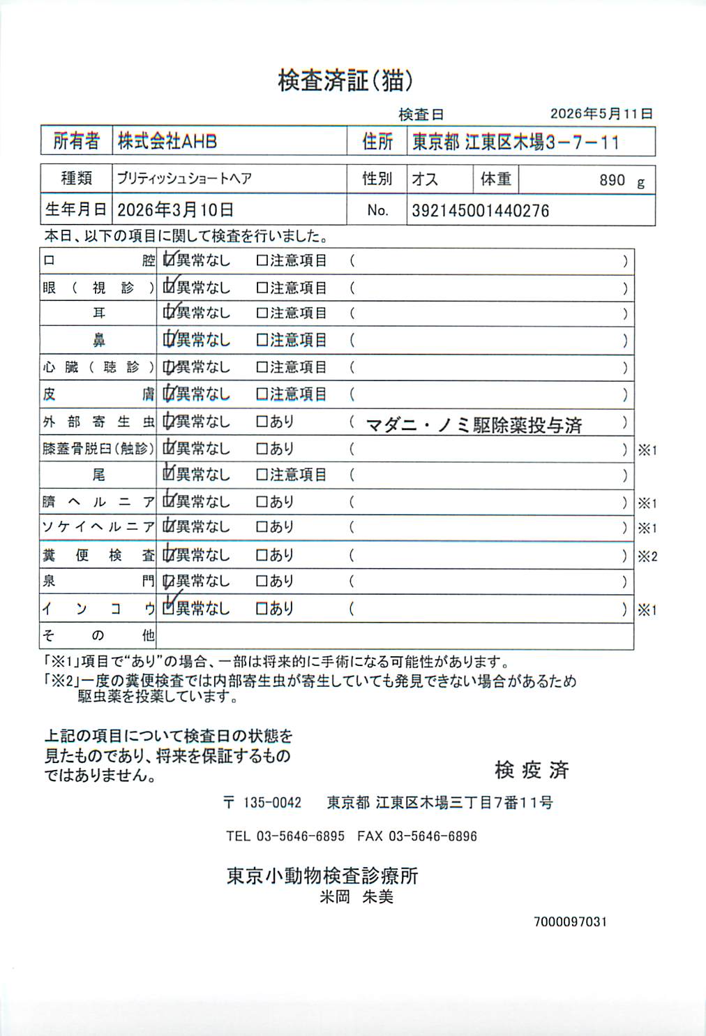 ブリティッシュショートヘア