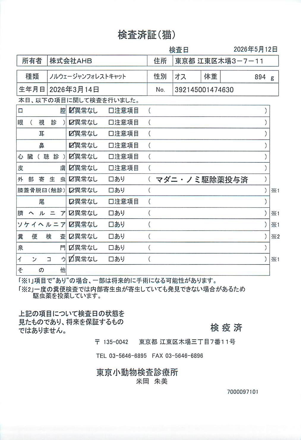 ノルウェージャンフォレストキャット