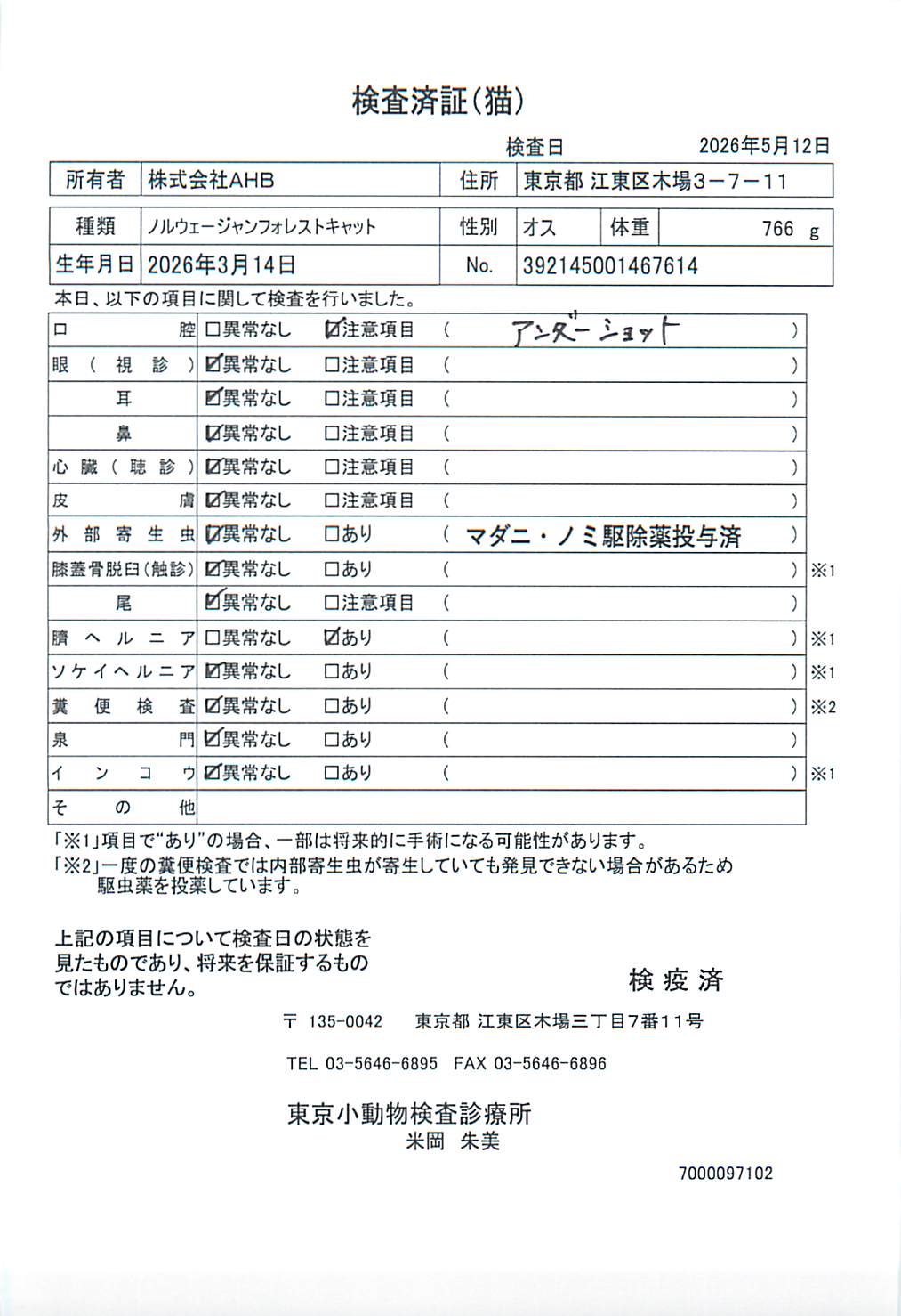 ノルウェージャンフォレストキャット