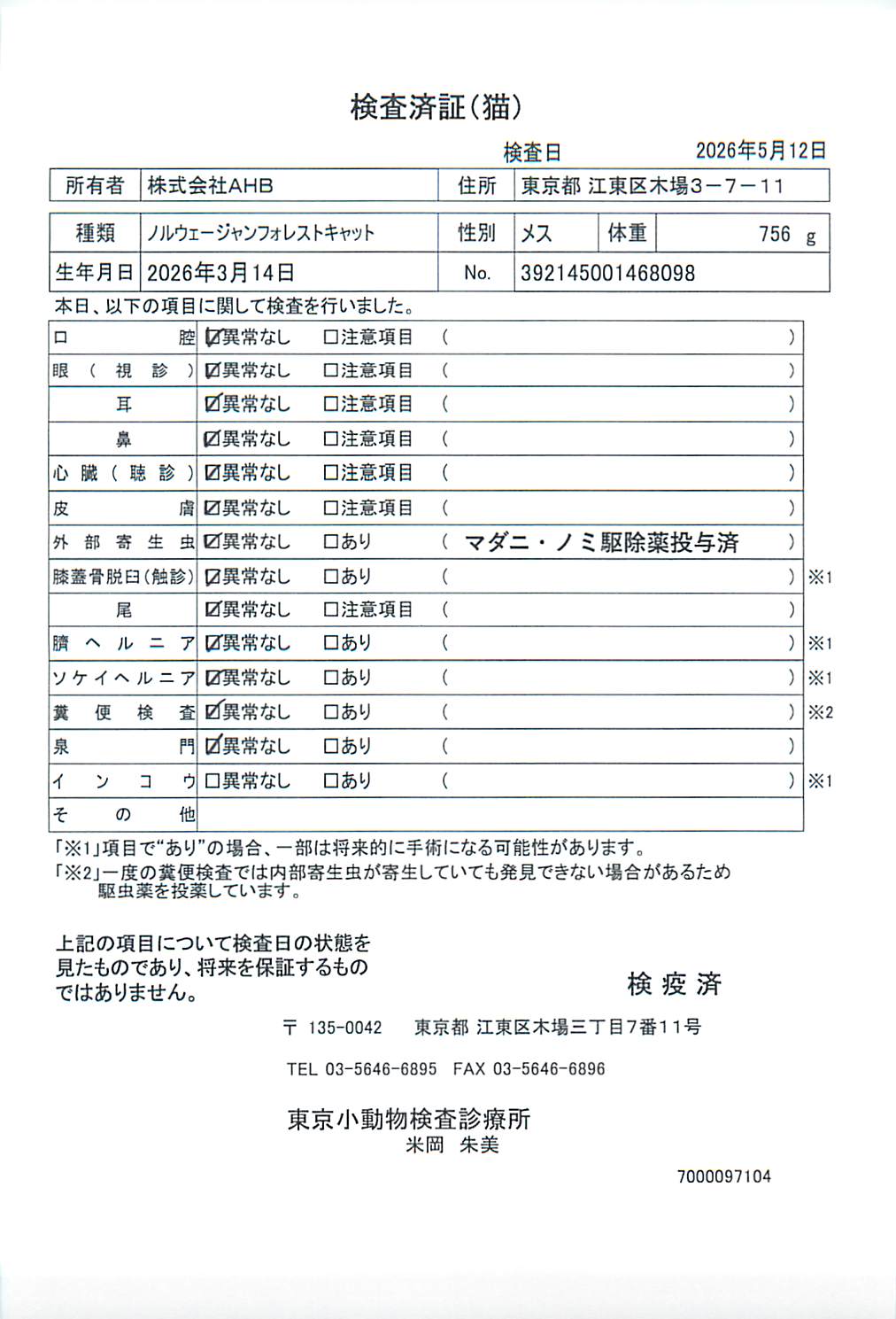 ノルウェージャンフォレストキャット