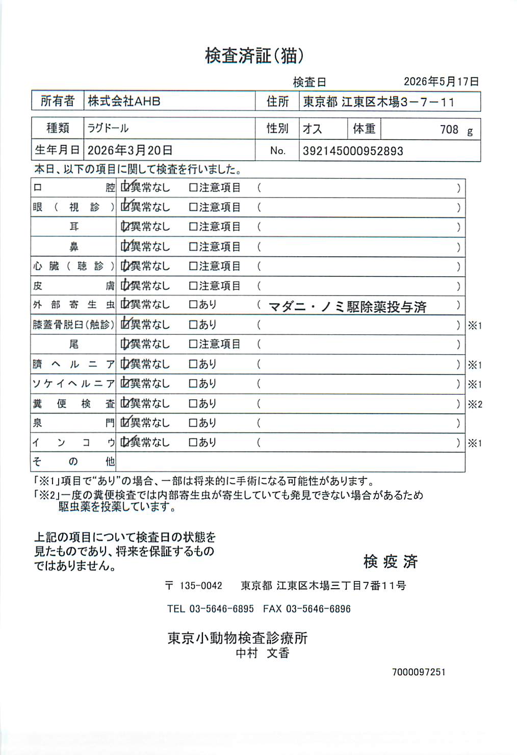 ラグドール