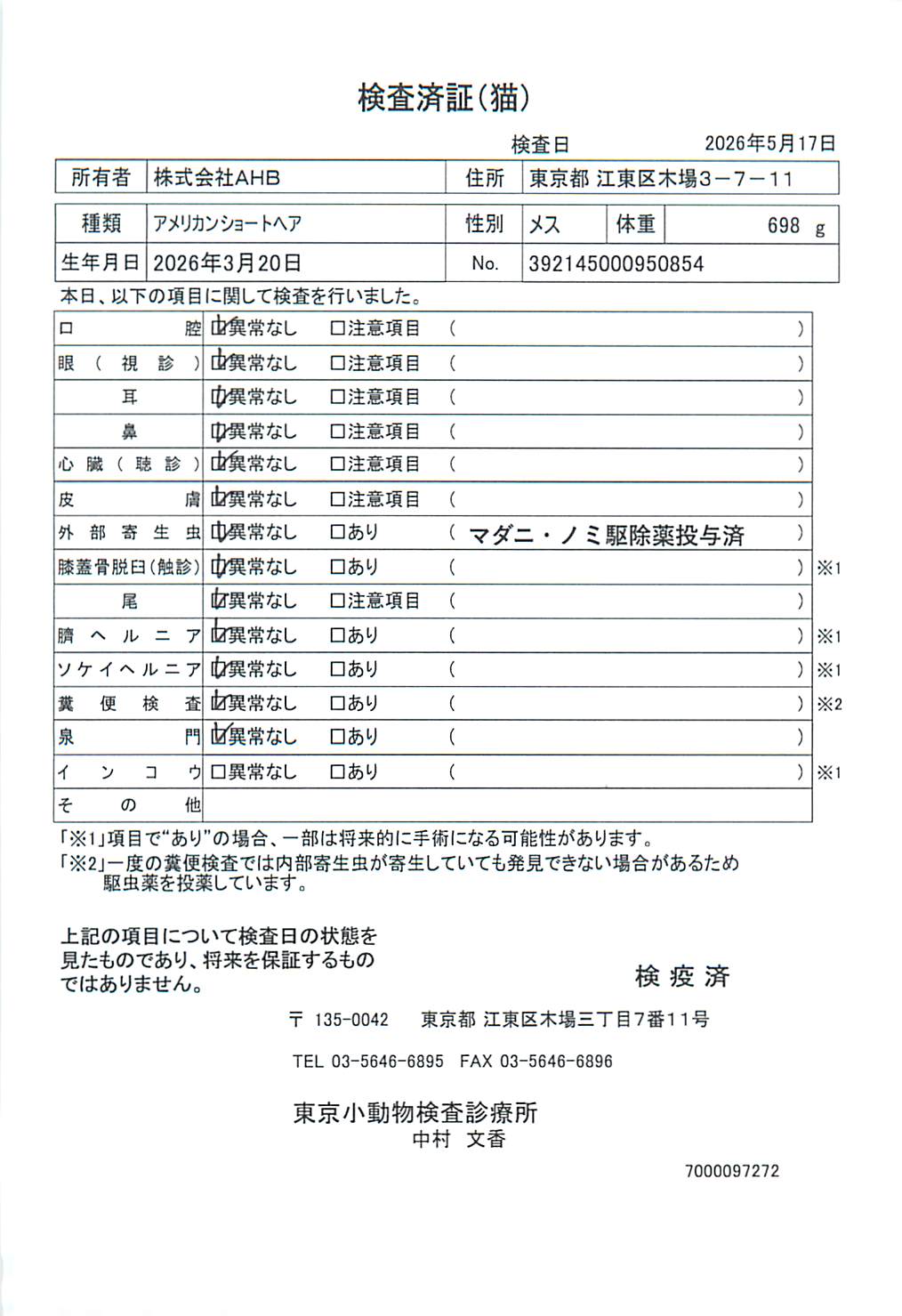 アメリカンショートヘア