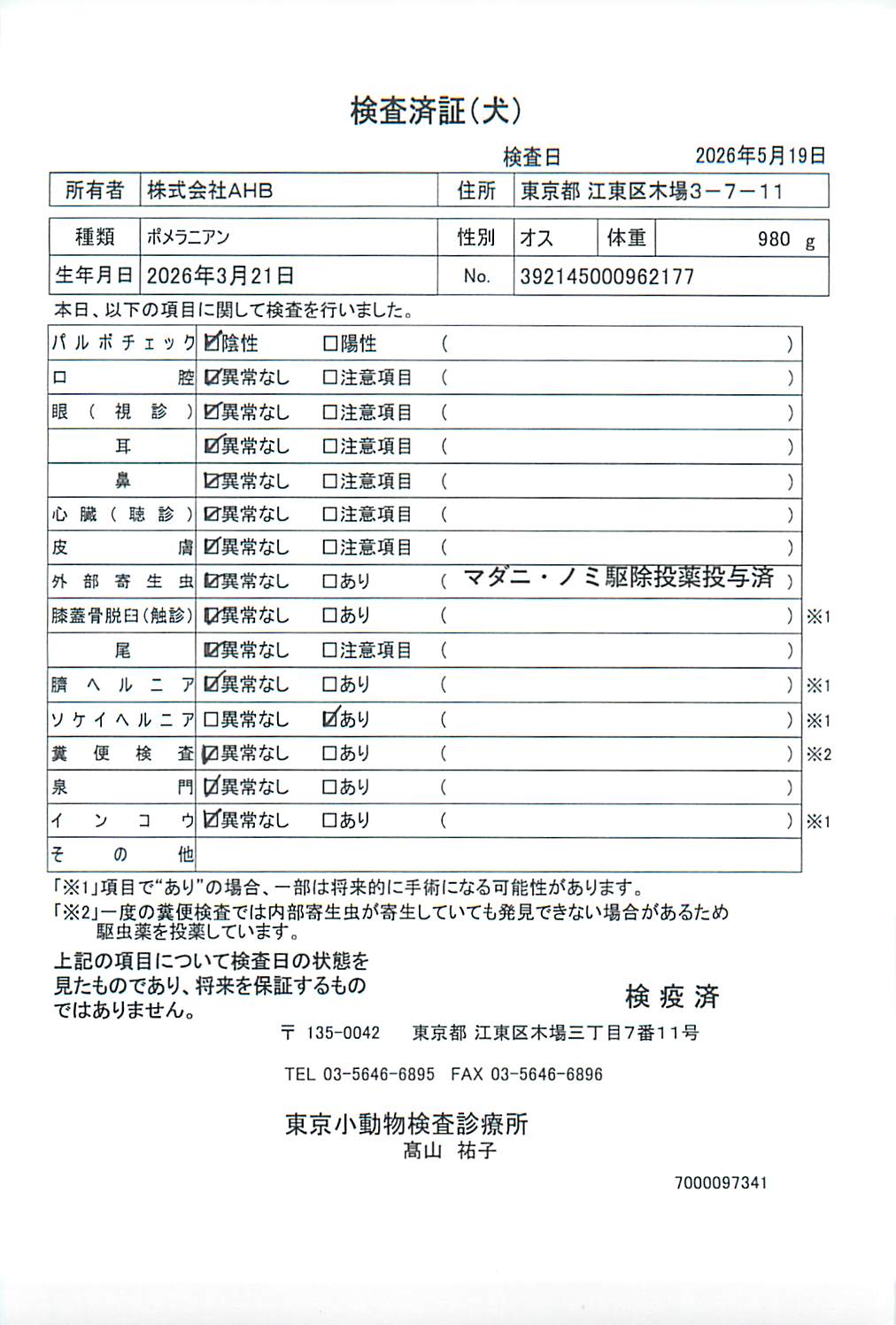 ポメラニアン