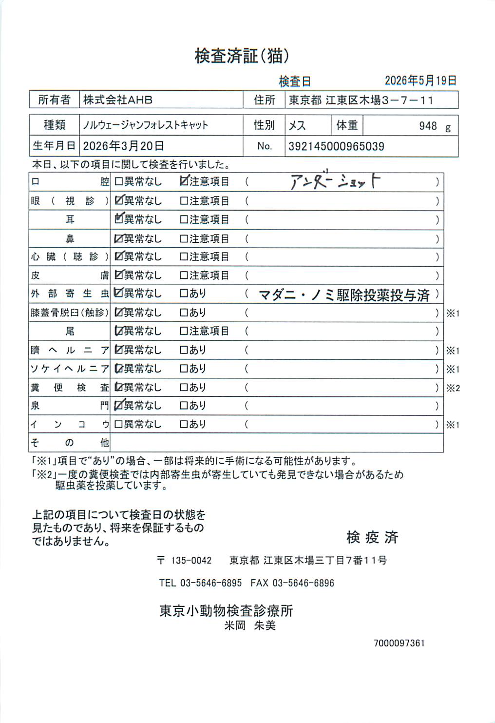 ノルウェージャンフォレストキャット