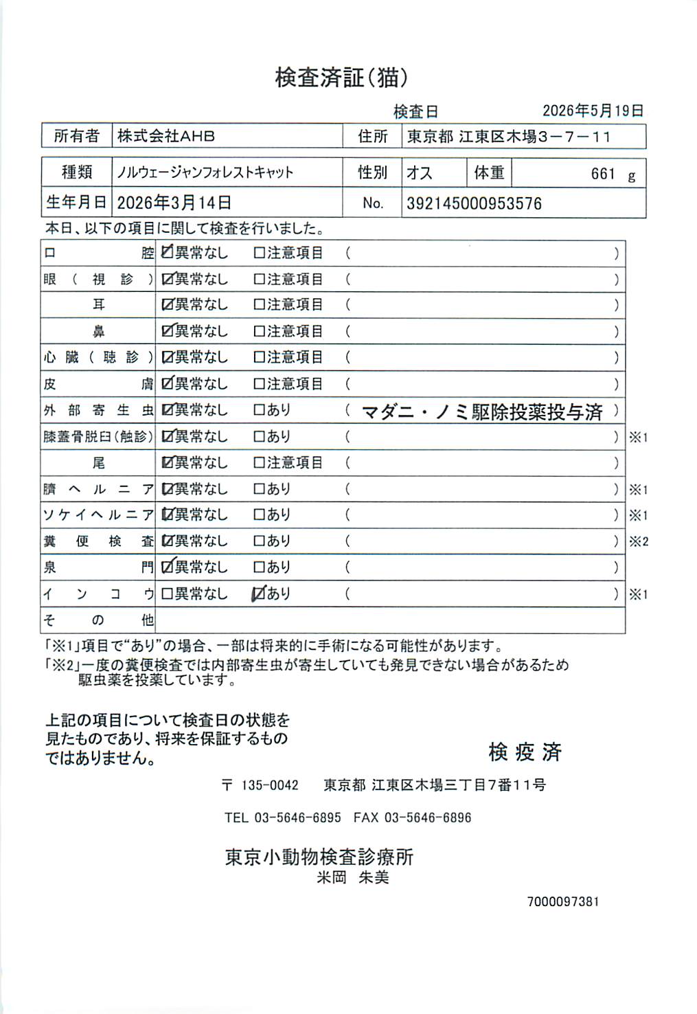 ノルウェージャンフォレストキャット
