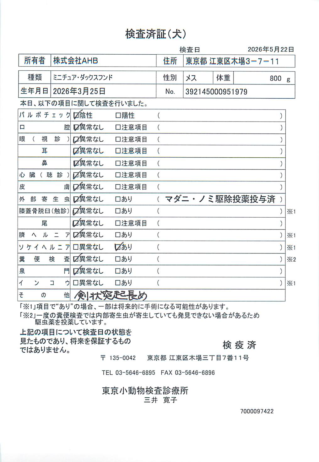 ミニチュア・ダックスフンド