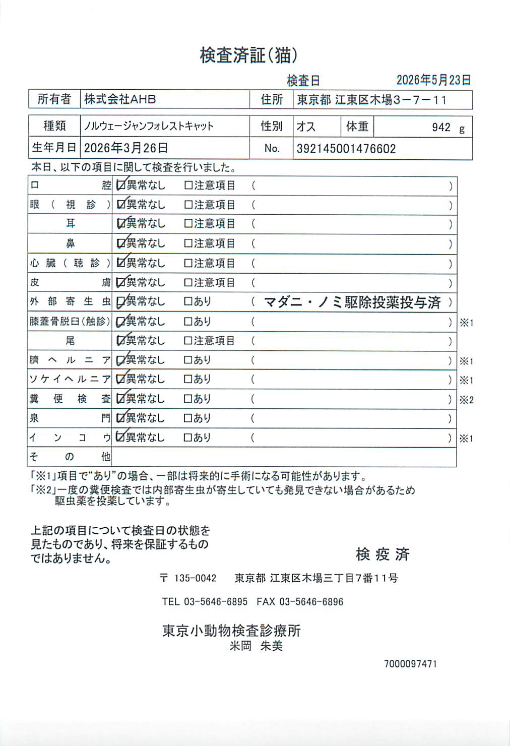 ノルウェージャンフォレストキャット