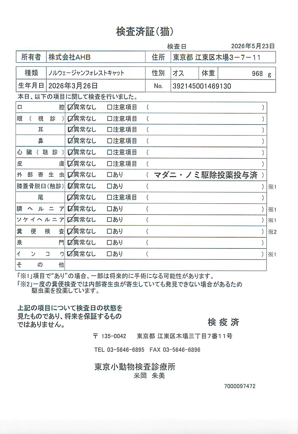 ノルウェージャンフォレストキャット