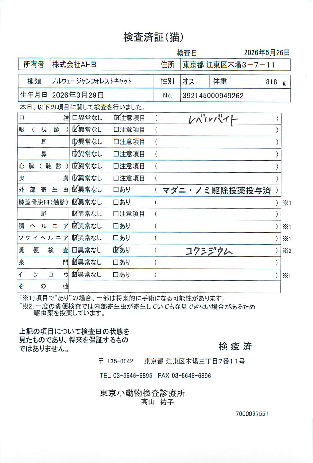 ノルウェージャンフォレストキャット