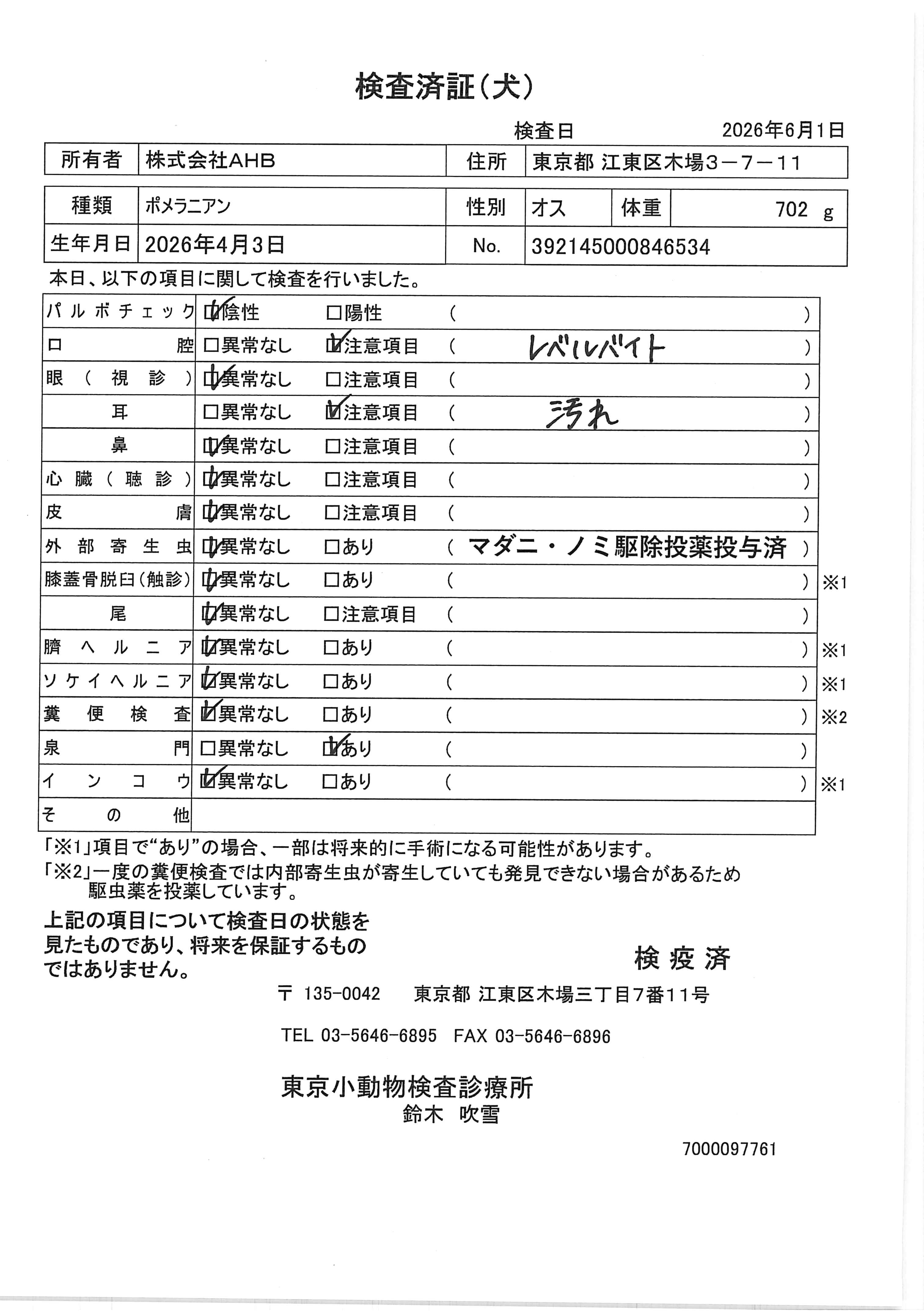 ポメラニアン