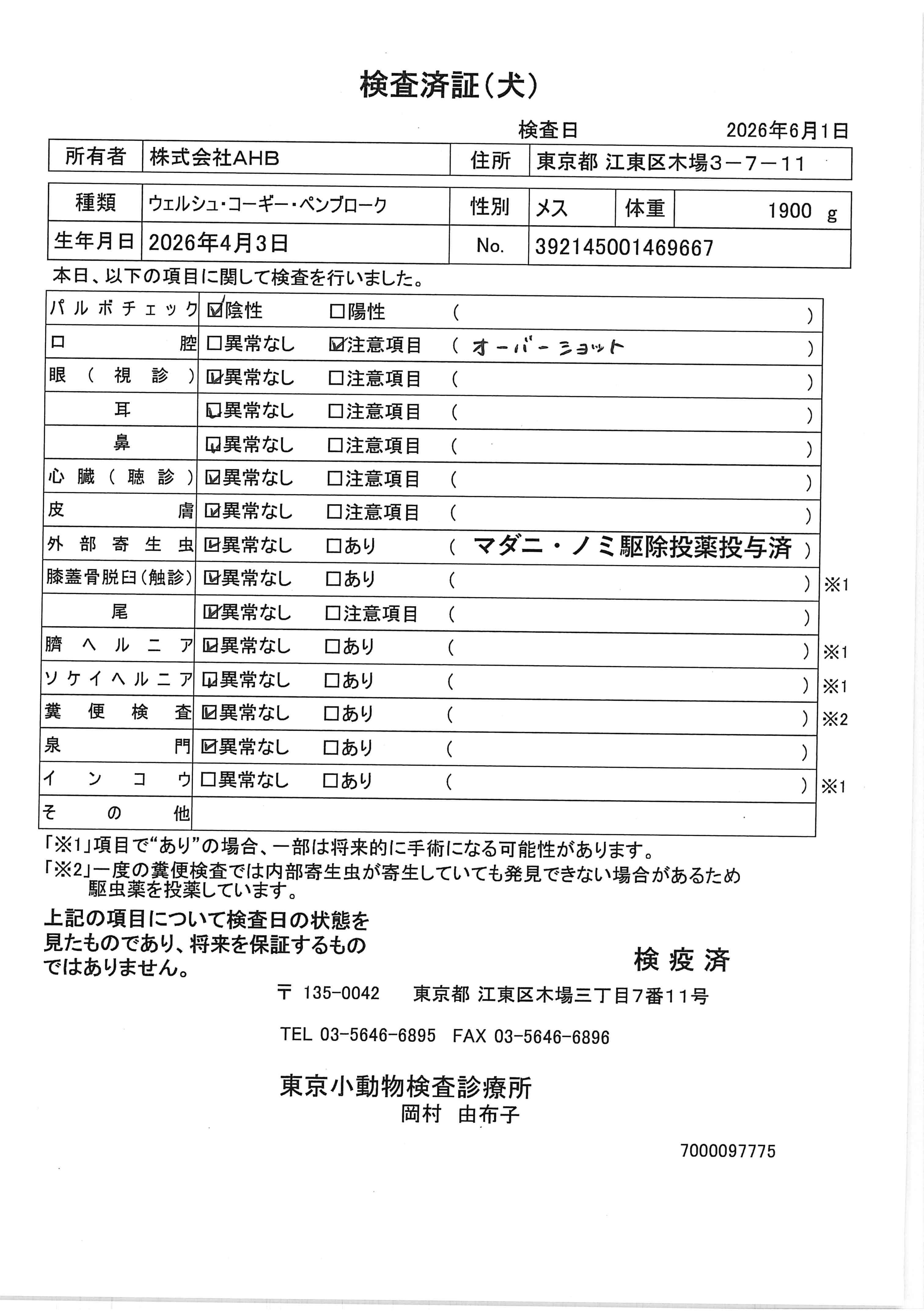 ウェルシュ・コーギー・ペンブローク
