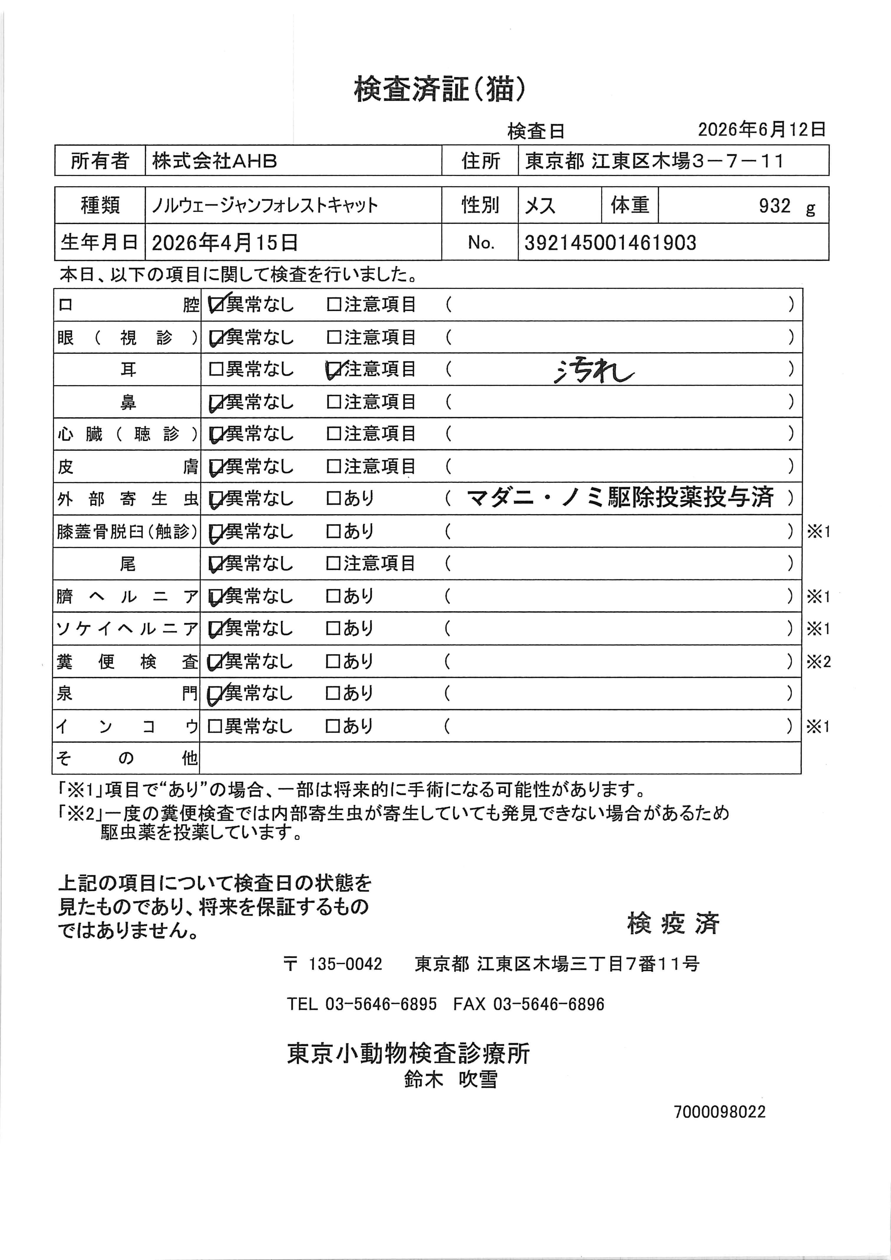ノルウェージャンフォレストキャット