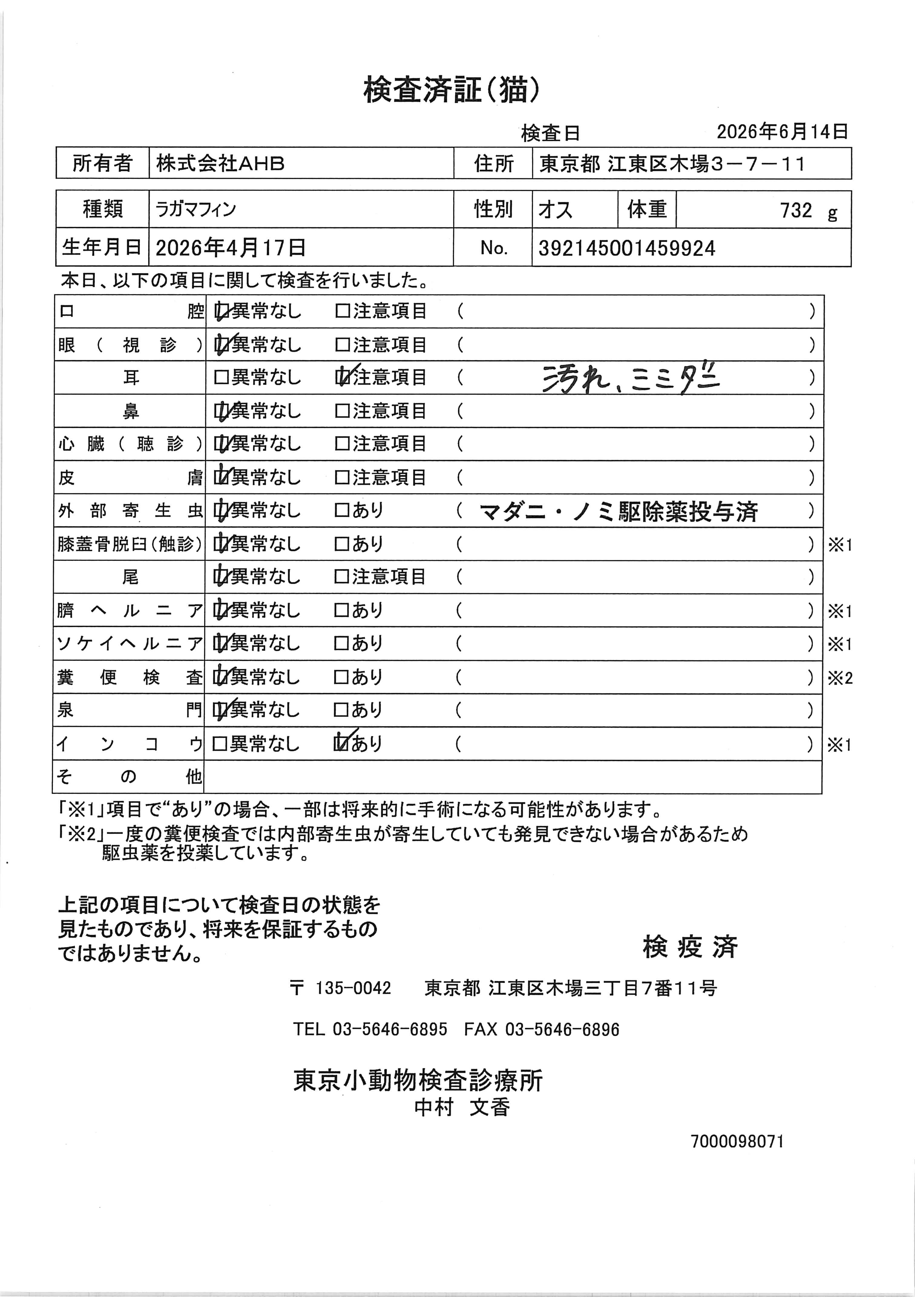 ラガマフィン