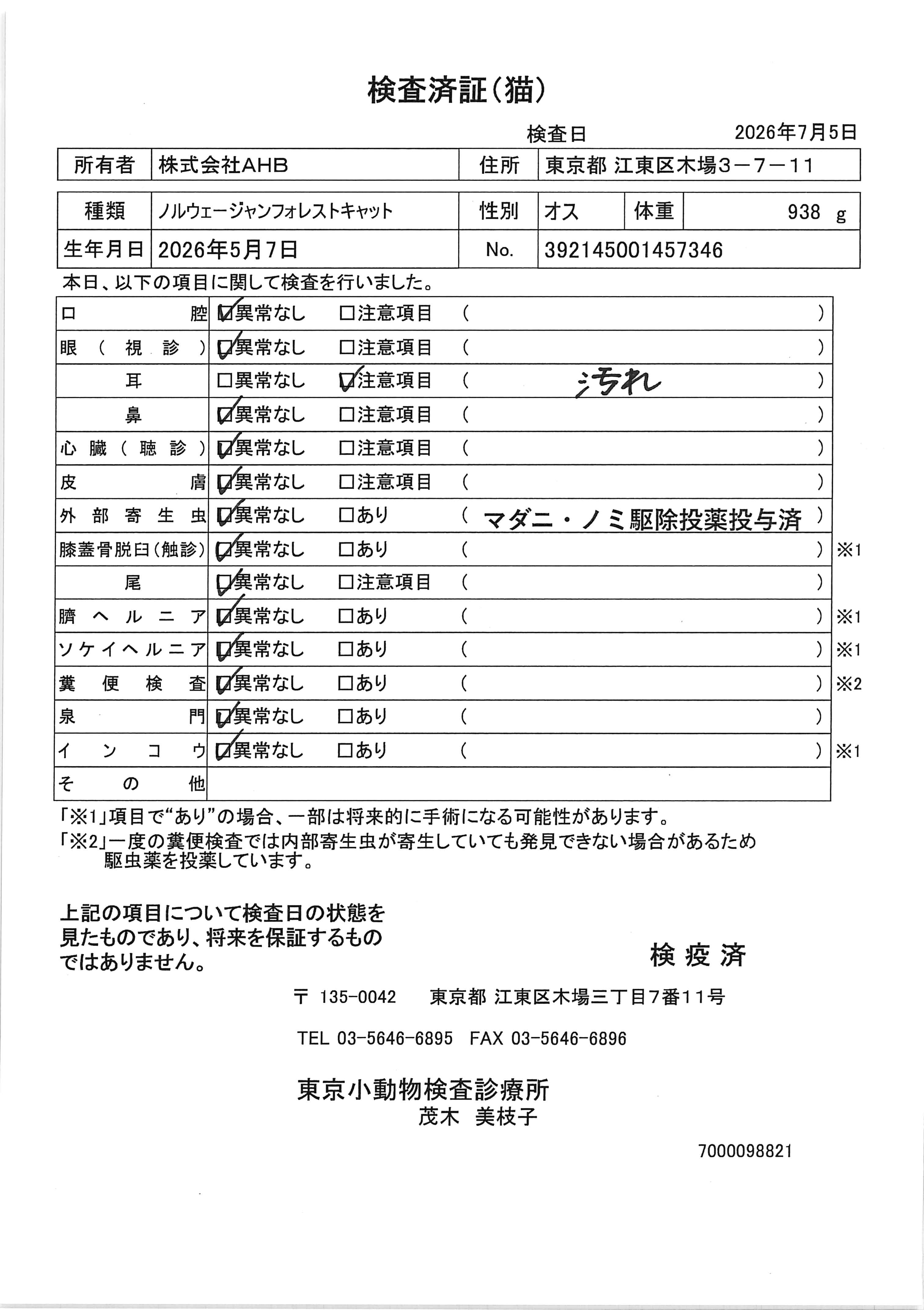 ノルウェージャンフォレストキャット
