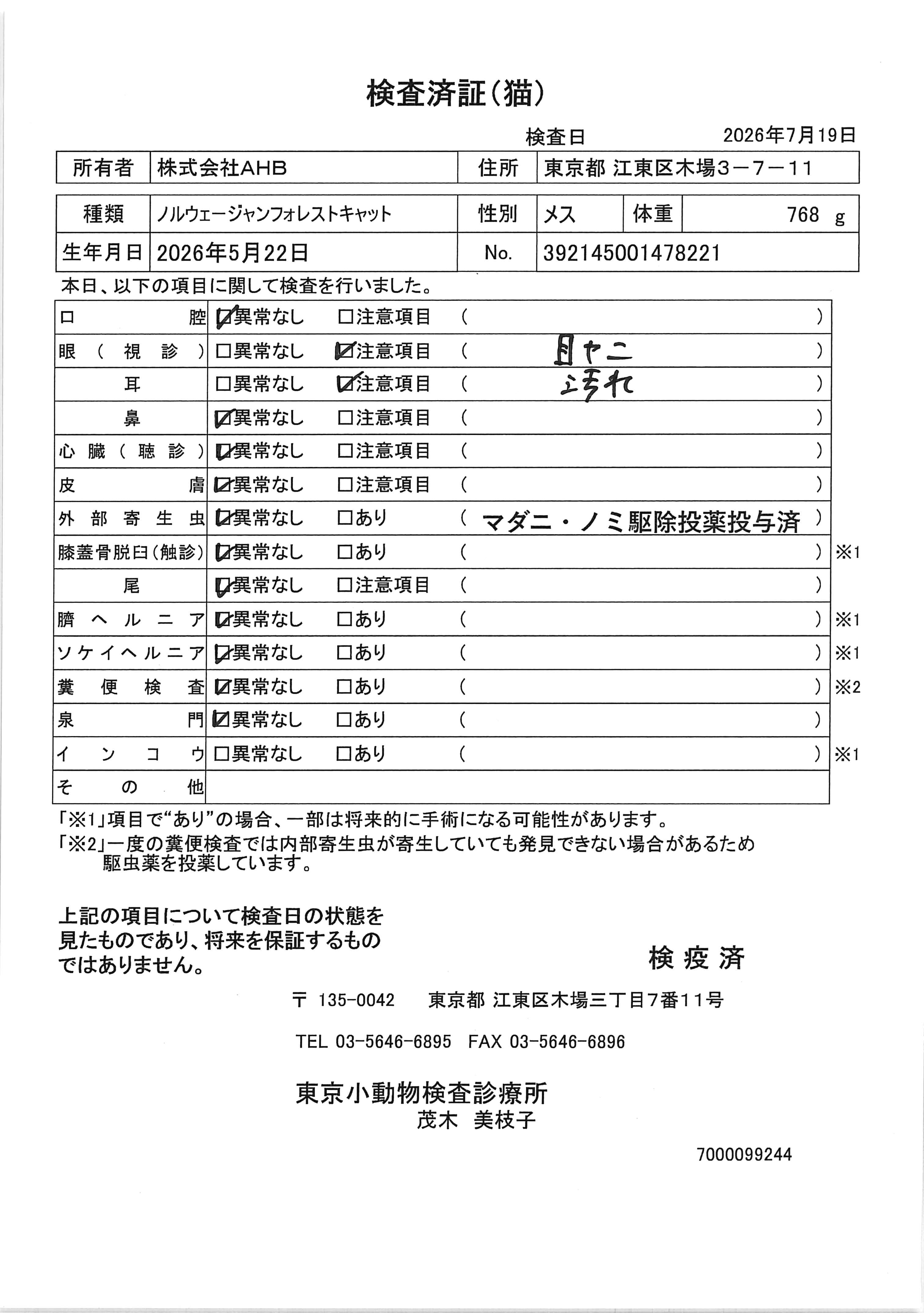 ノルウェージャンフォレストキャット