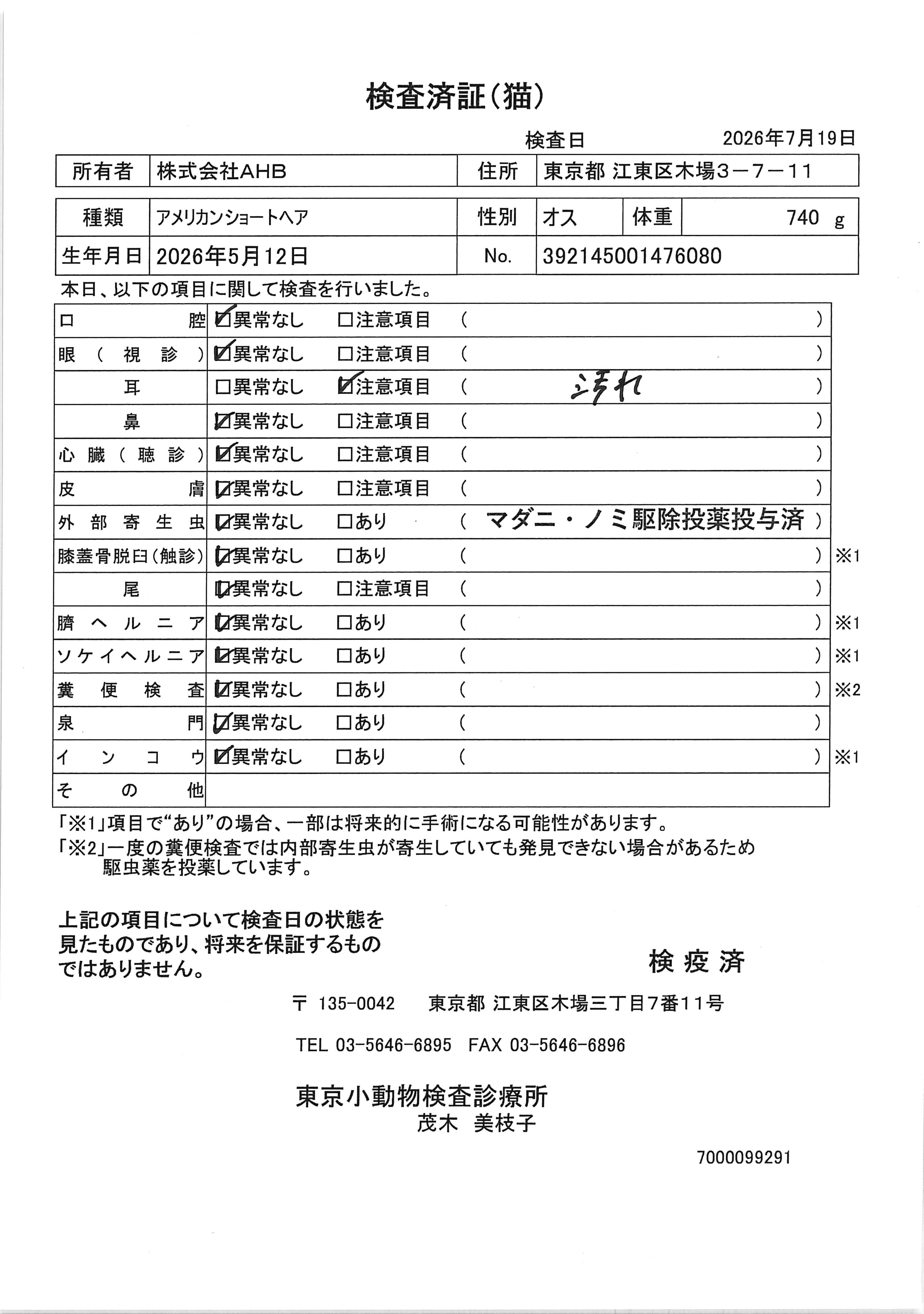 アメリカンショートヘア