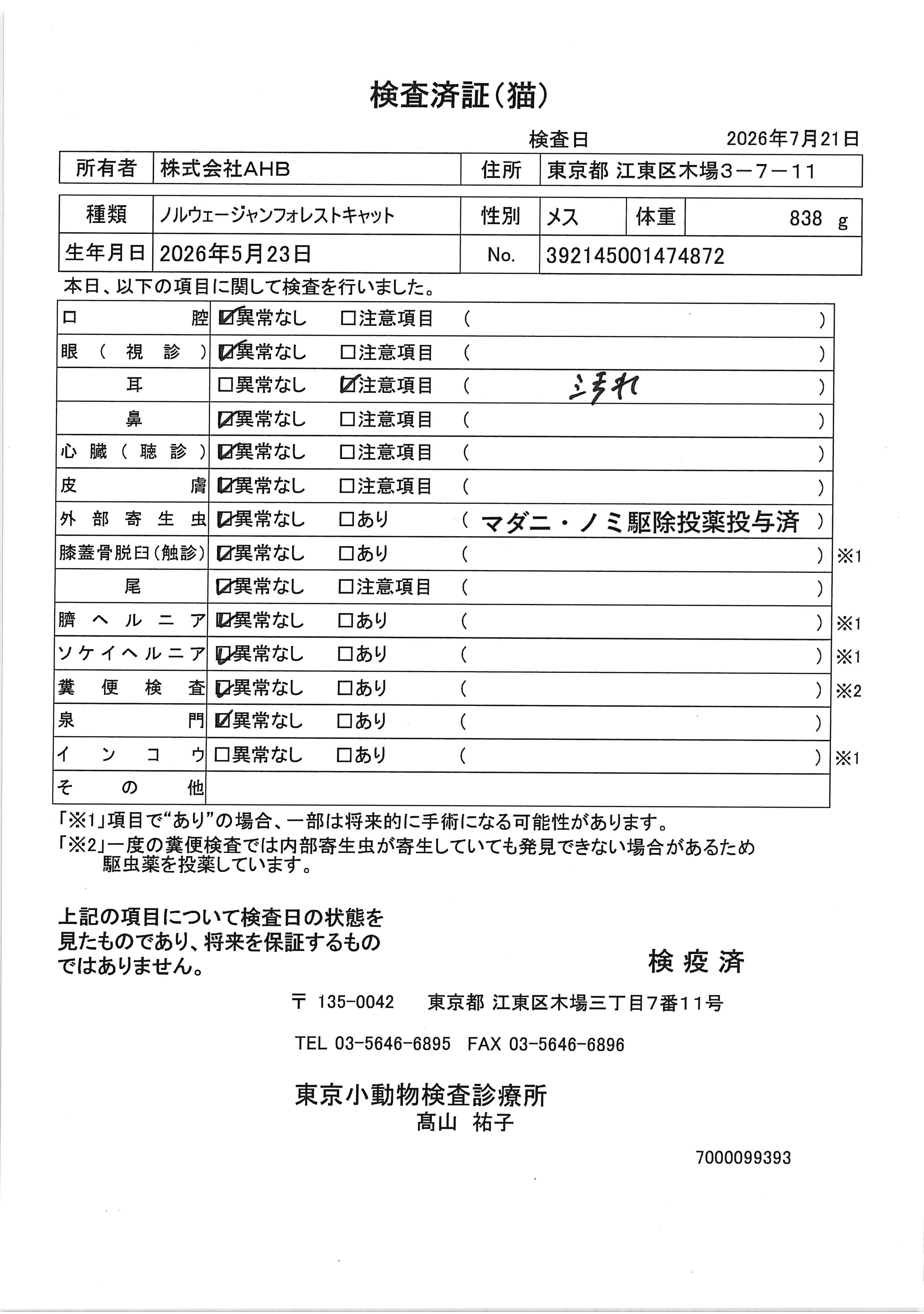 ノルウェージャンフォレストキャット