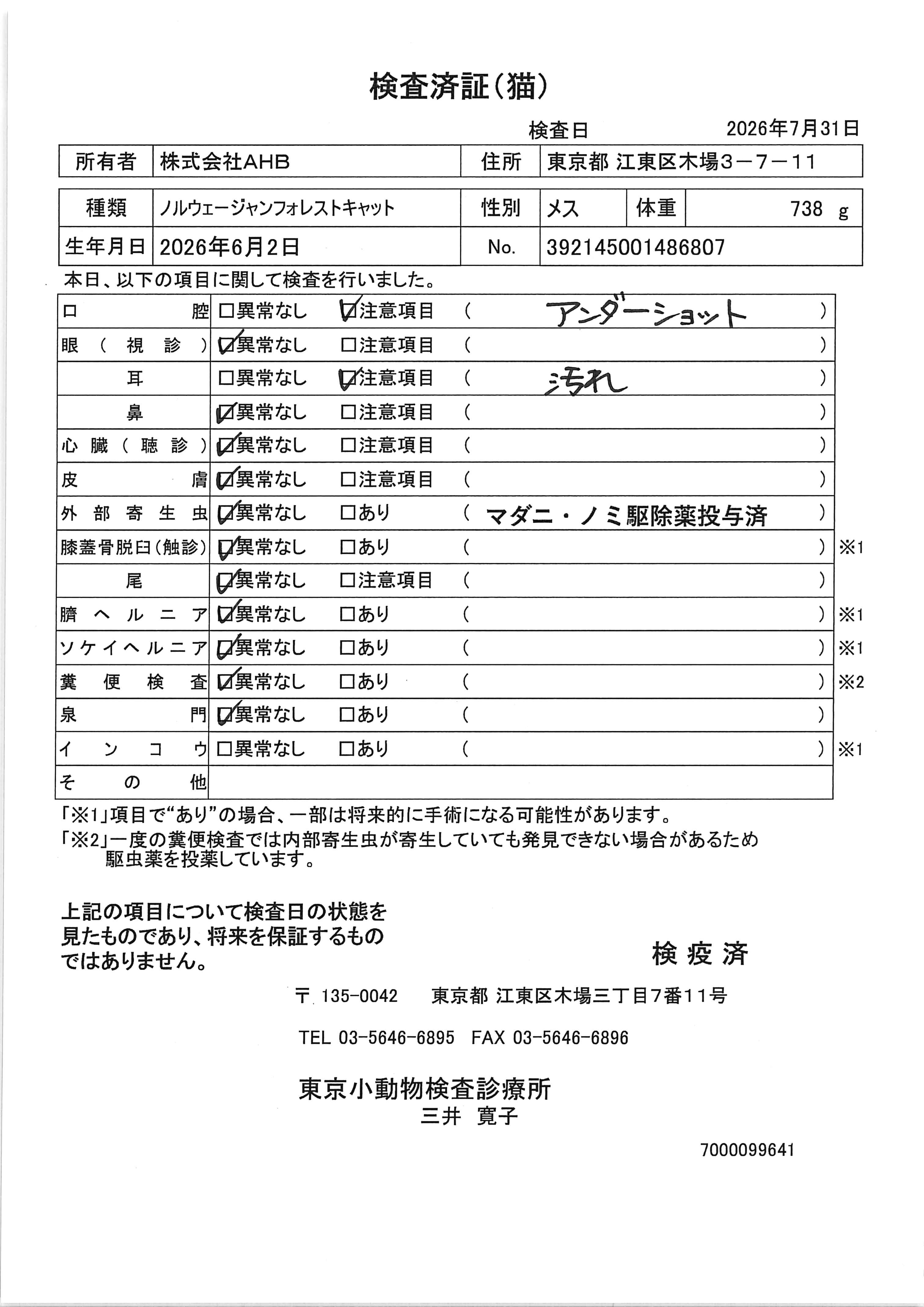 ノルウェージャンフォレストキャット