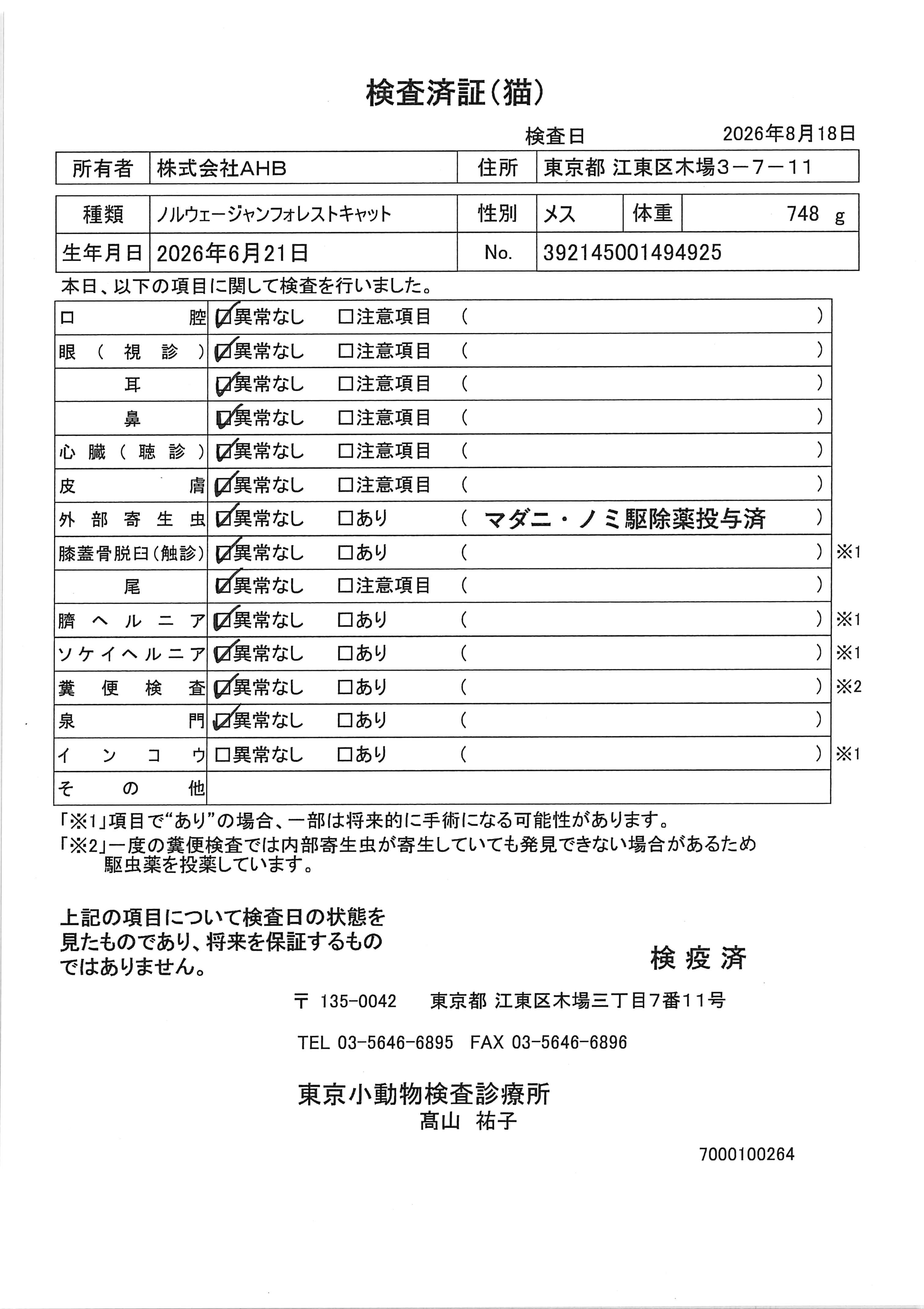 ノルウェージャンフォレストキャット