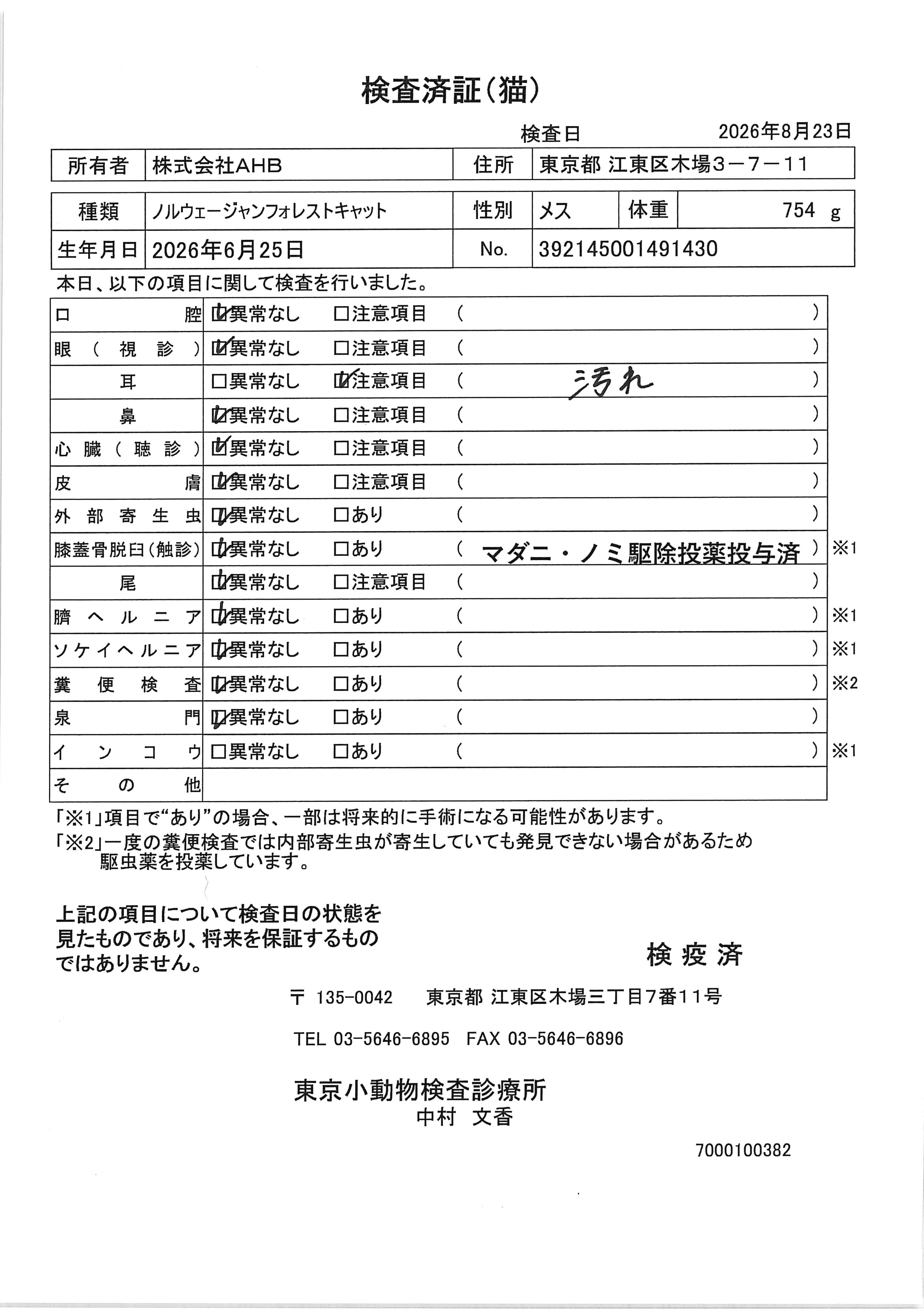 ノルウェージャンフォレストキャット