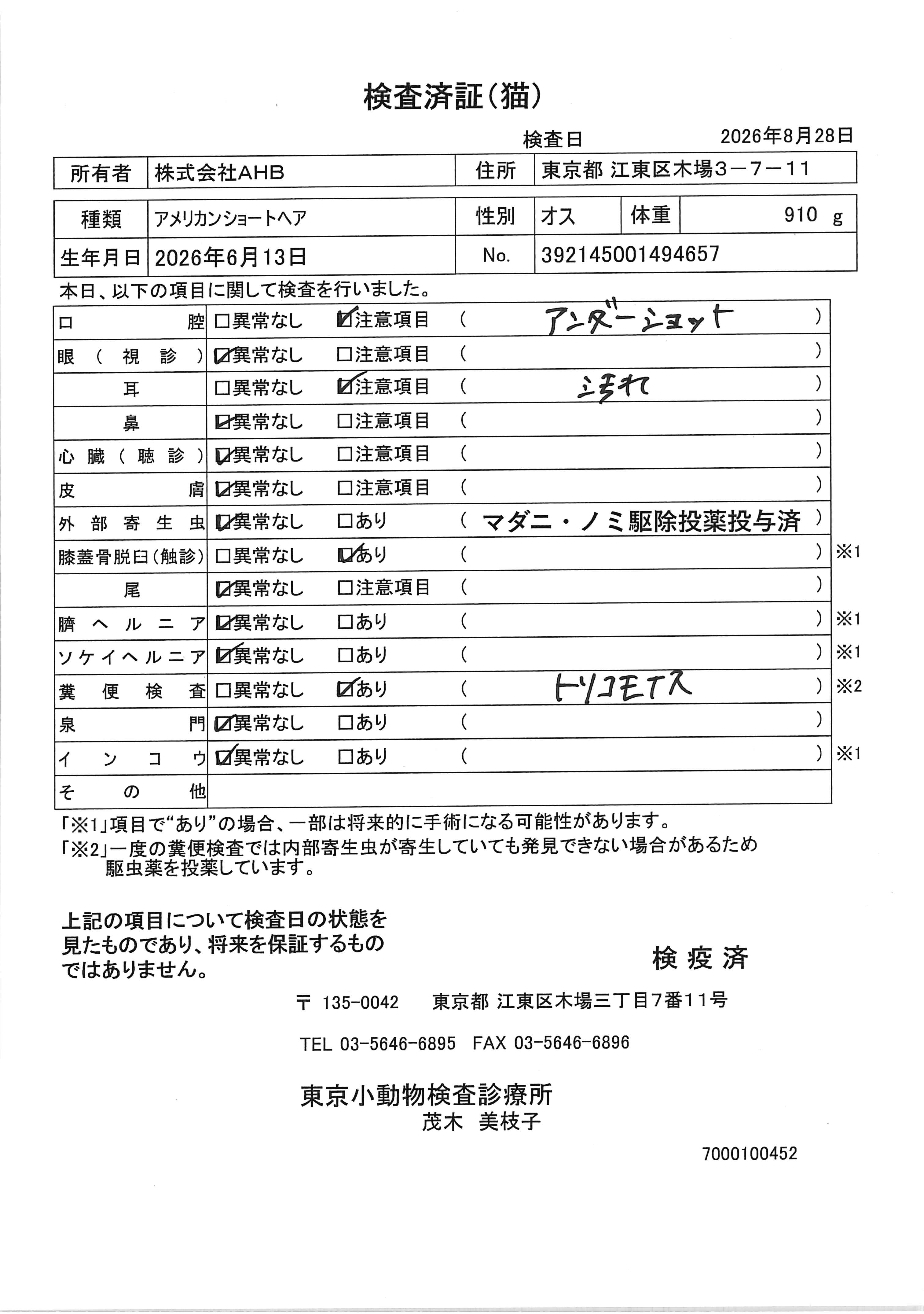 アメリカンショートヘア