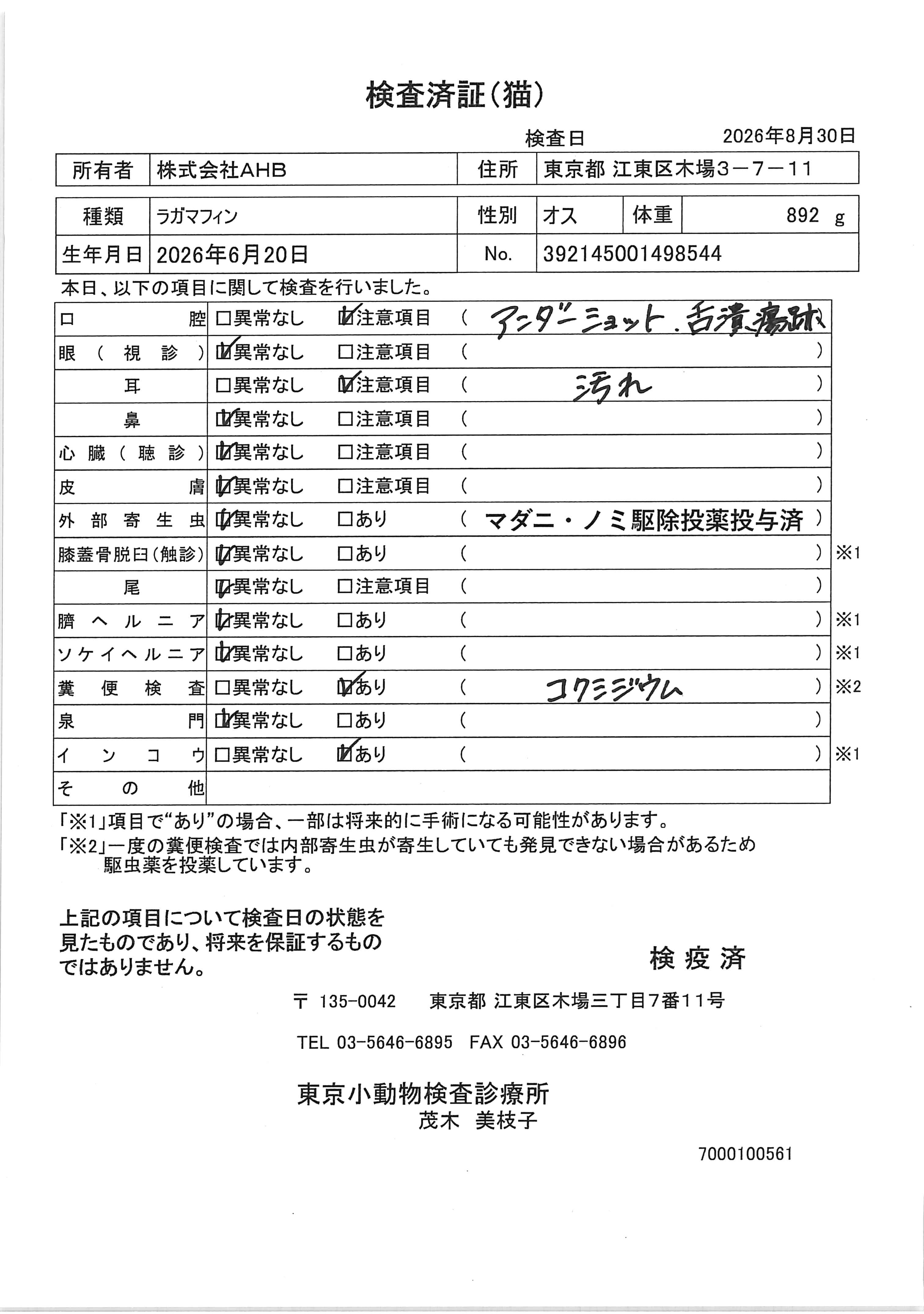 ラガマフィン