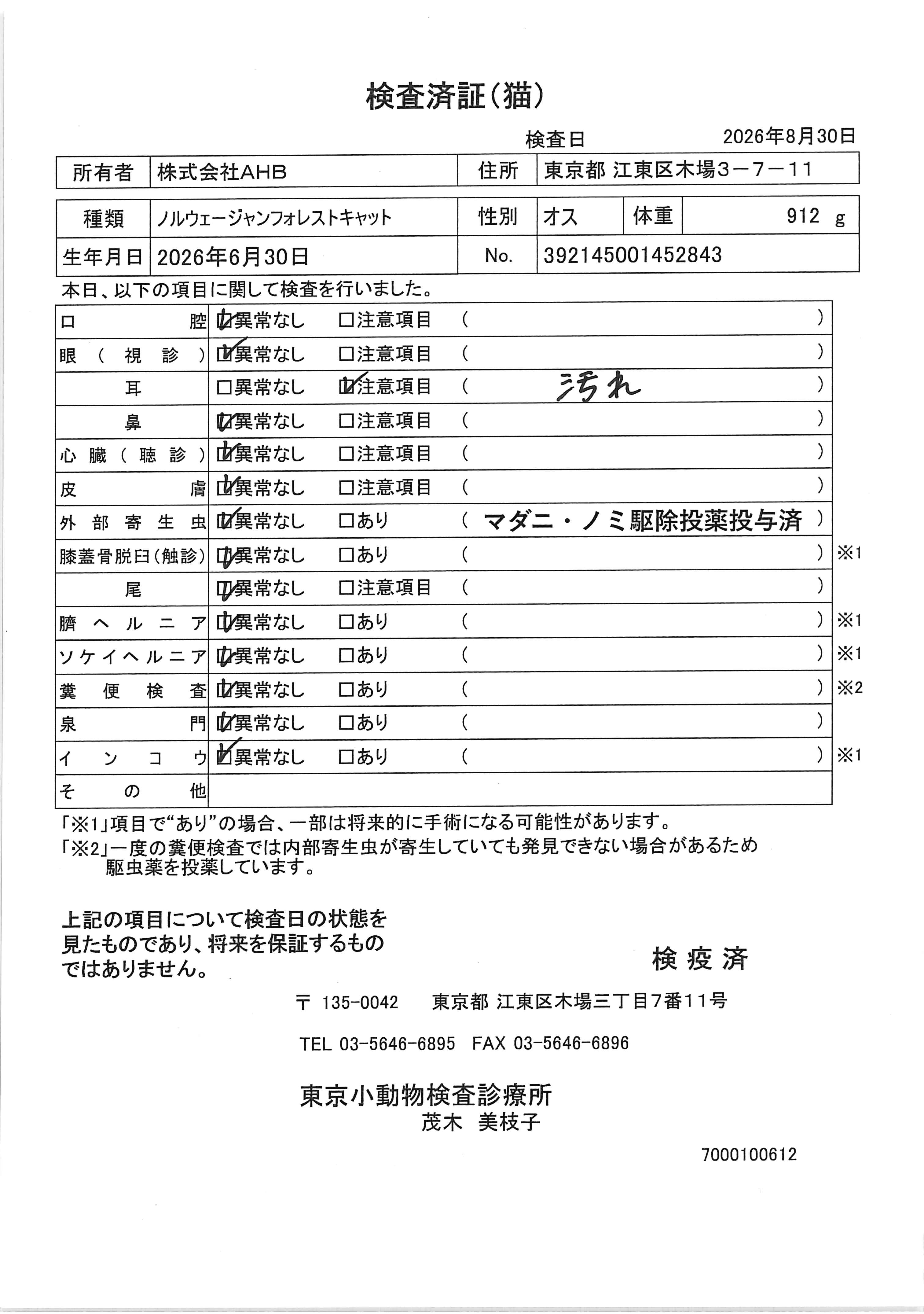 ノルウェージャンフォレストキャット
