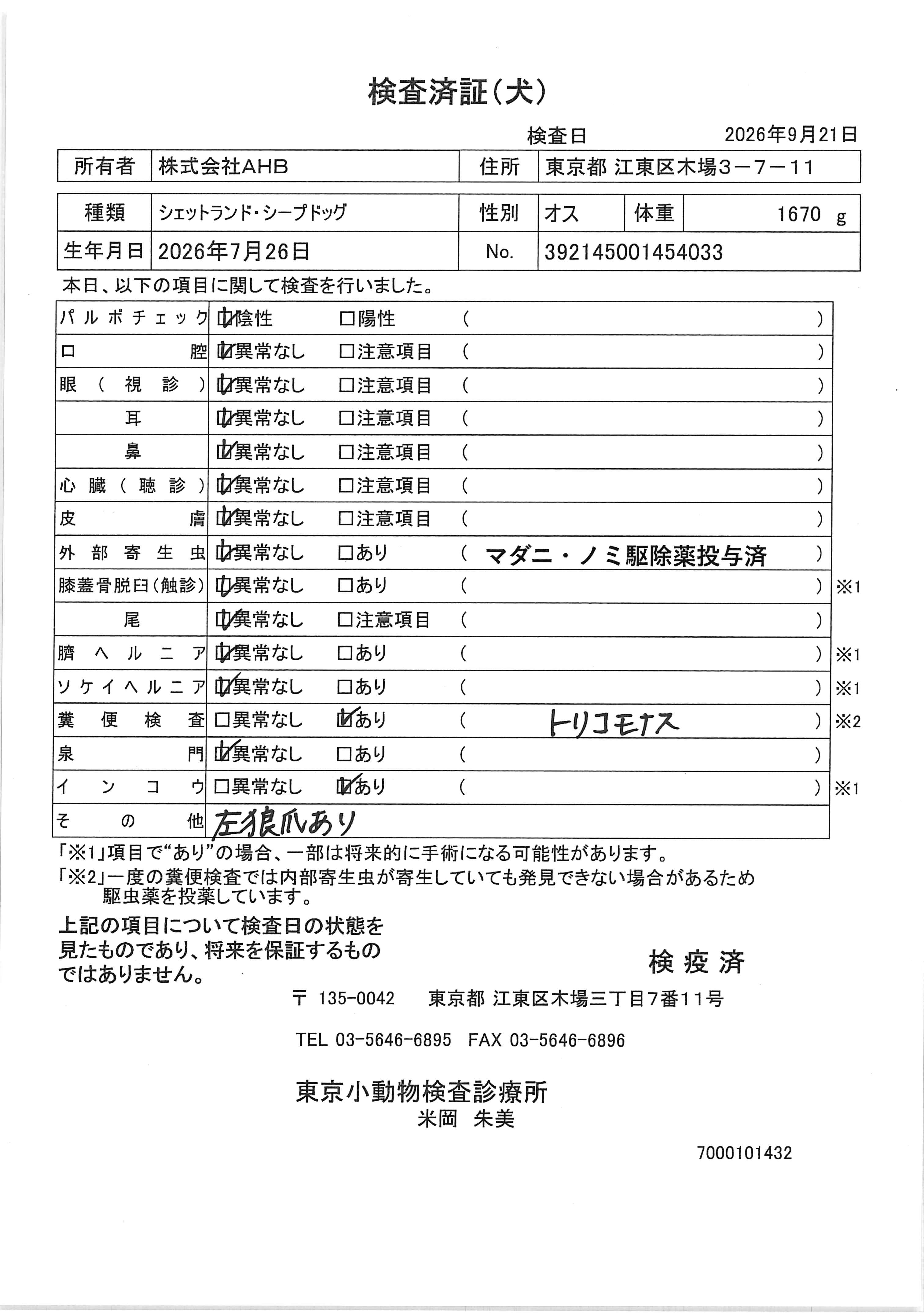 シェットランド・シープドッグ