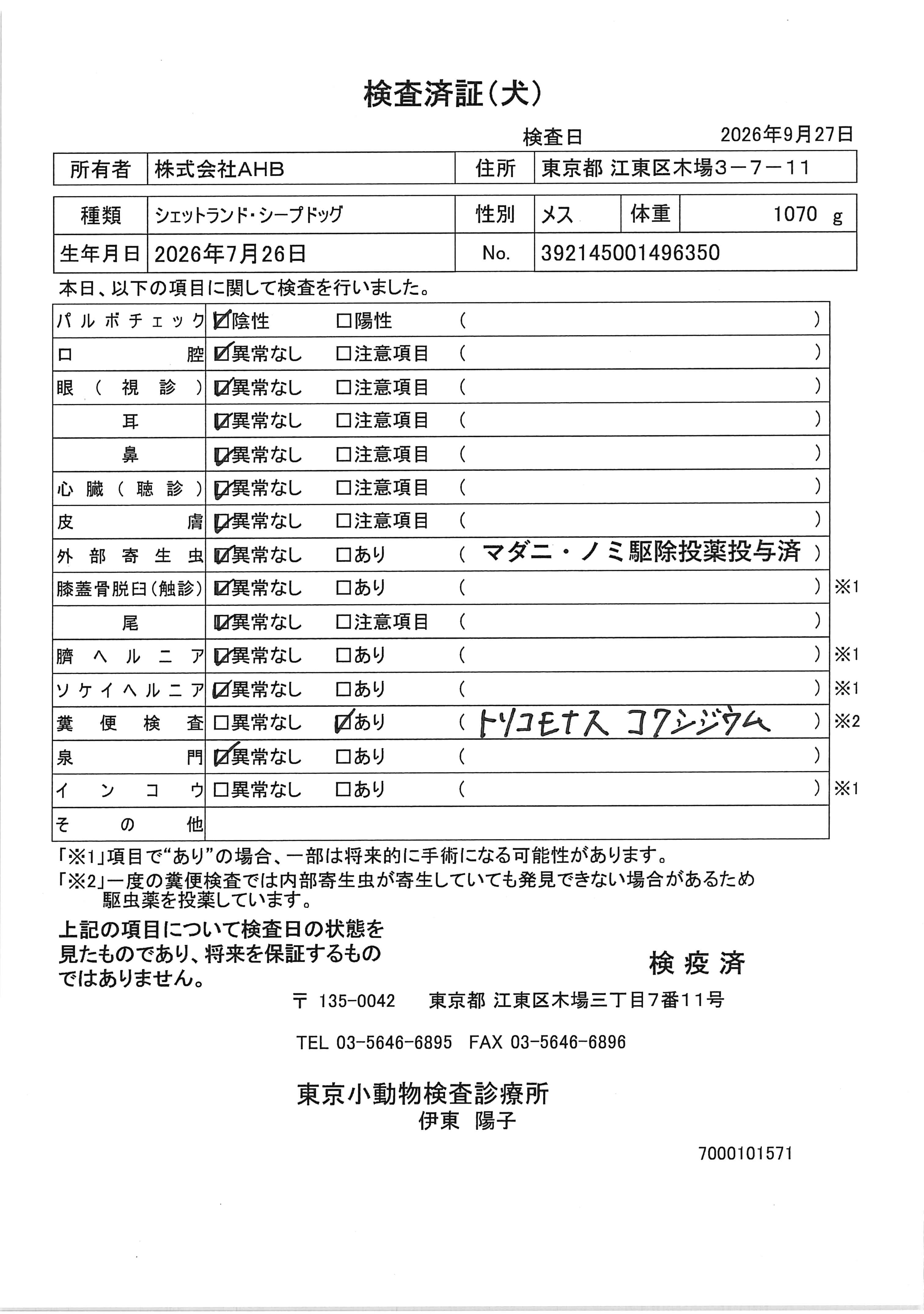 シェットランド・シープドッグ