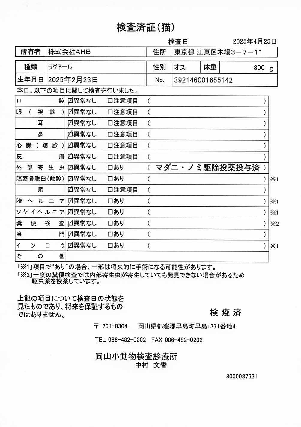 ラグドール
