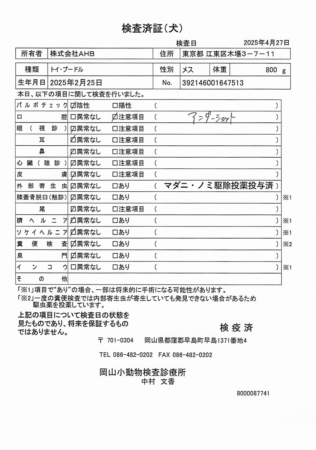 トイ・プードル