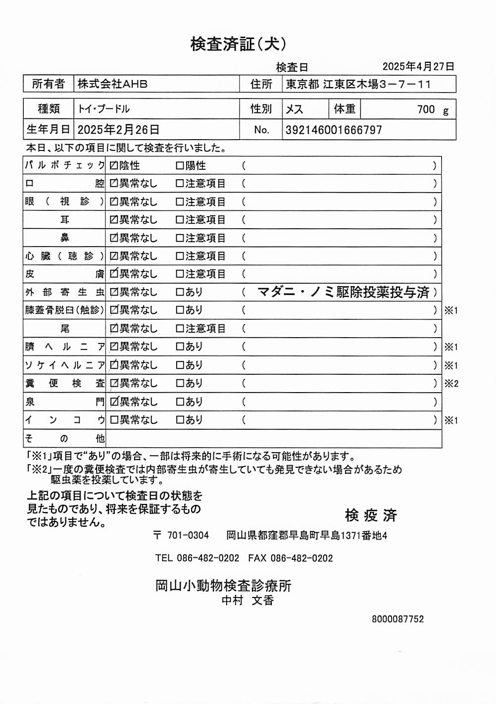 トイ・プードル