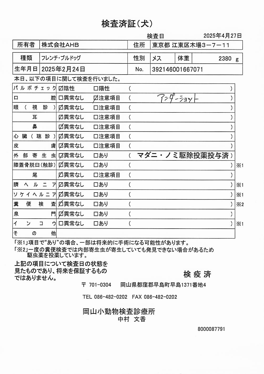 フレンチ・ブルドッグ