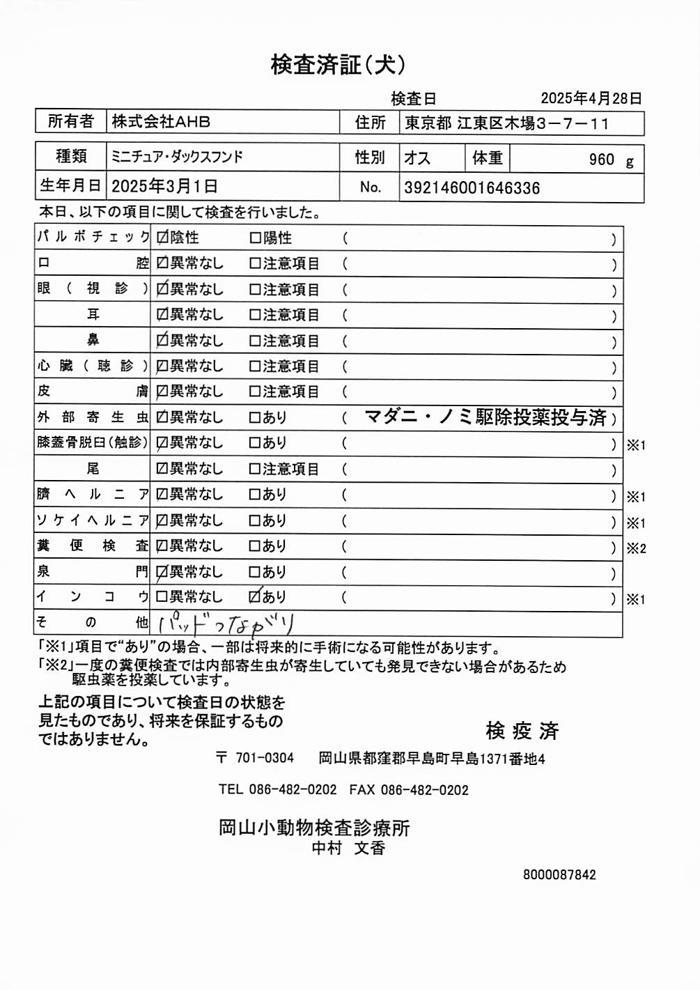 ミニチュア・ダックスフンド