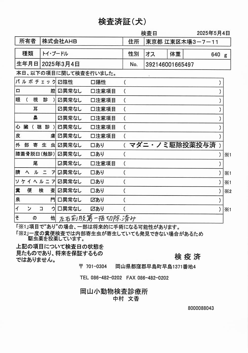 トイ・プードル