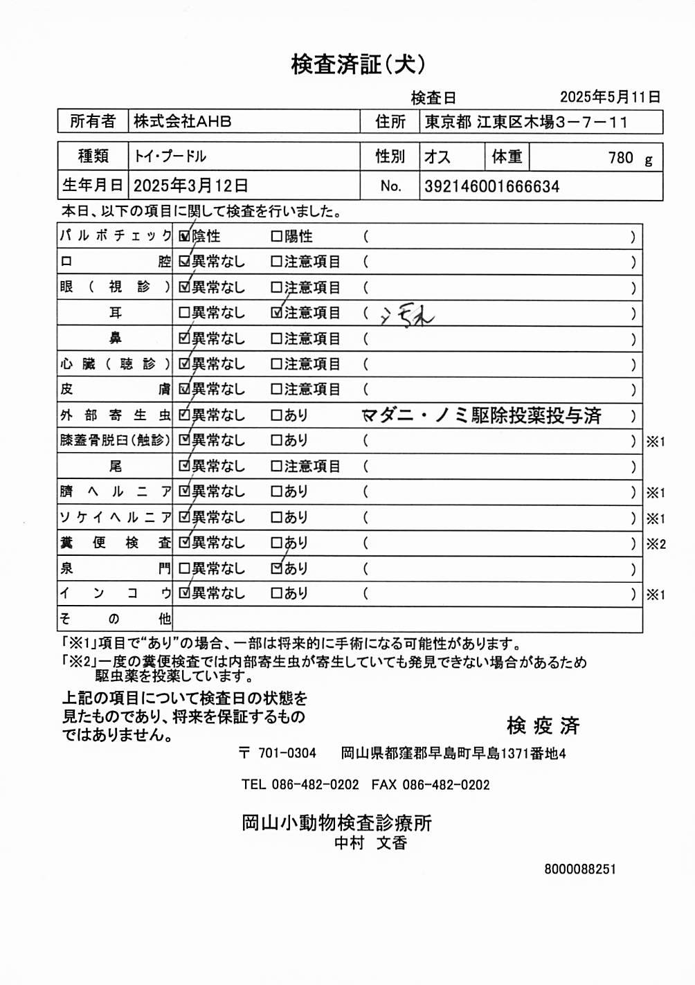 トイ・プードル