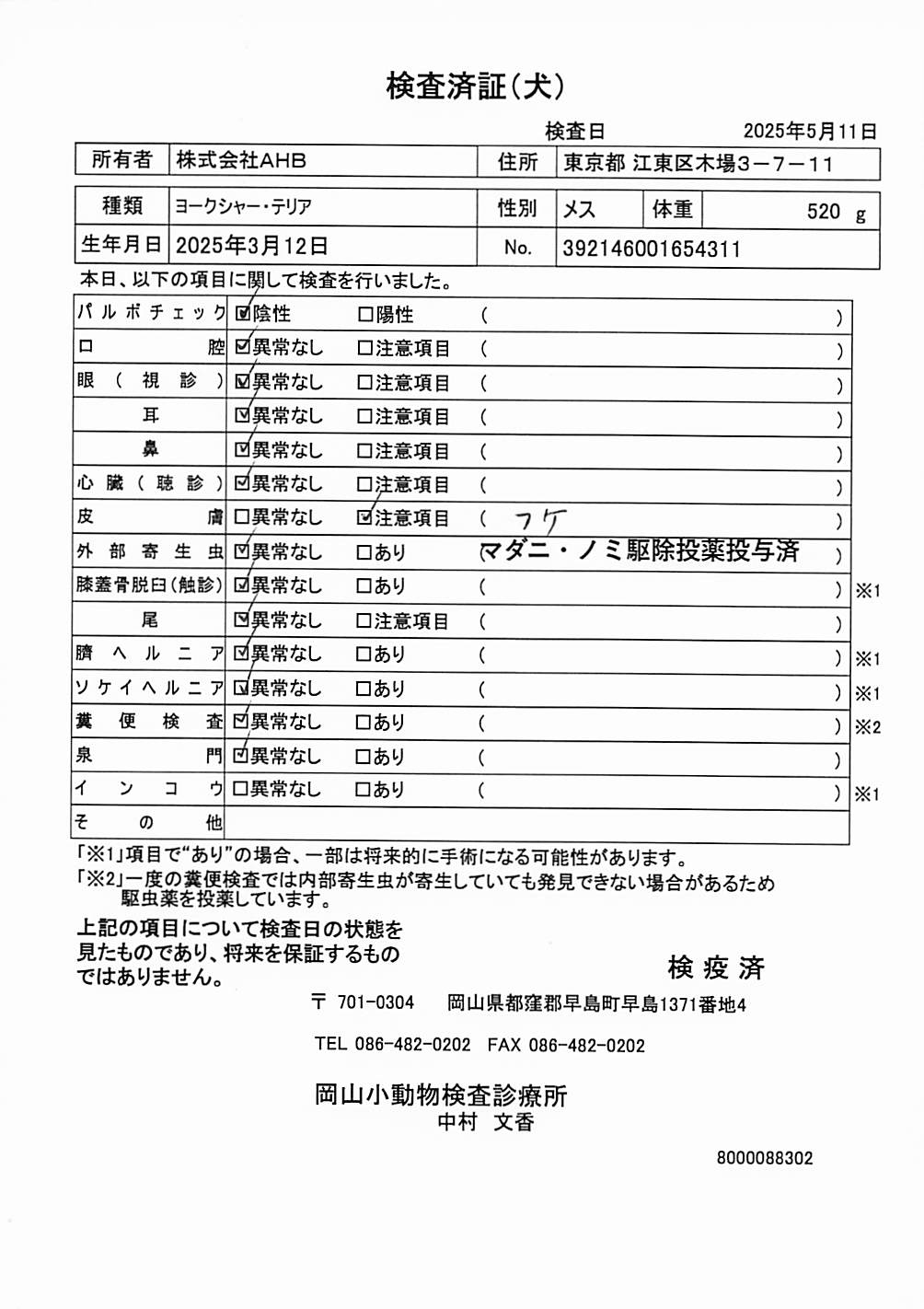 ヨークシャー・テリア