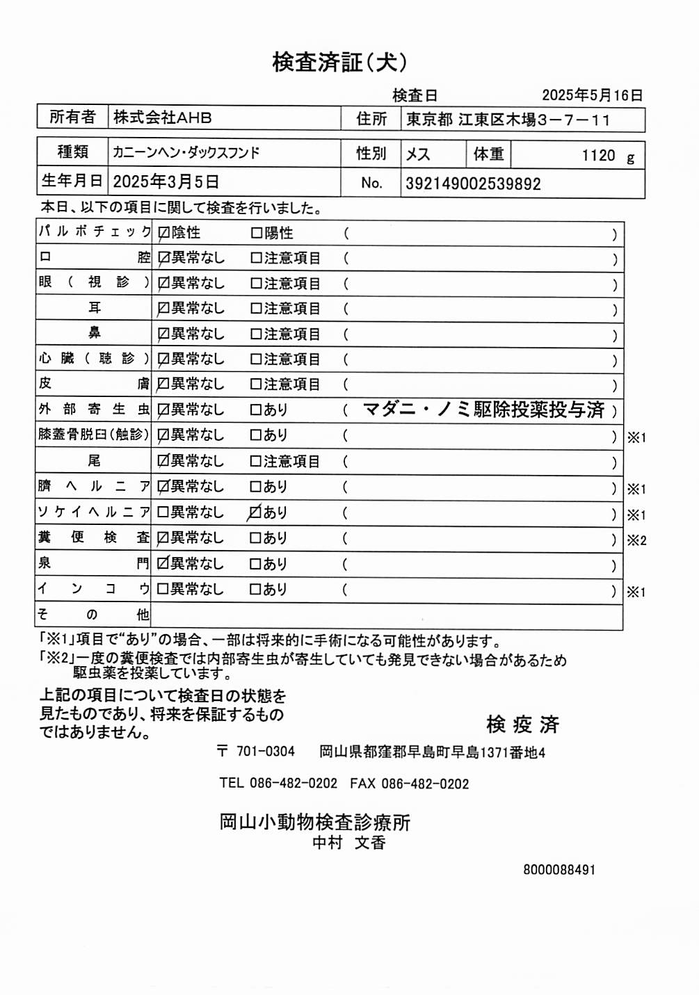 カニーンヘン・ダックスフンド