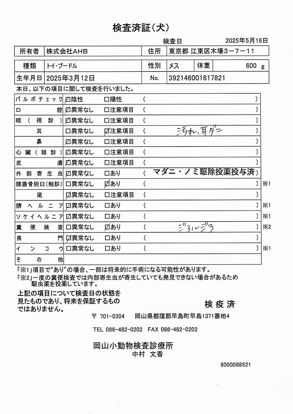 トイ・プードル