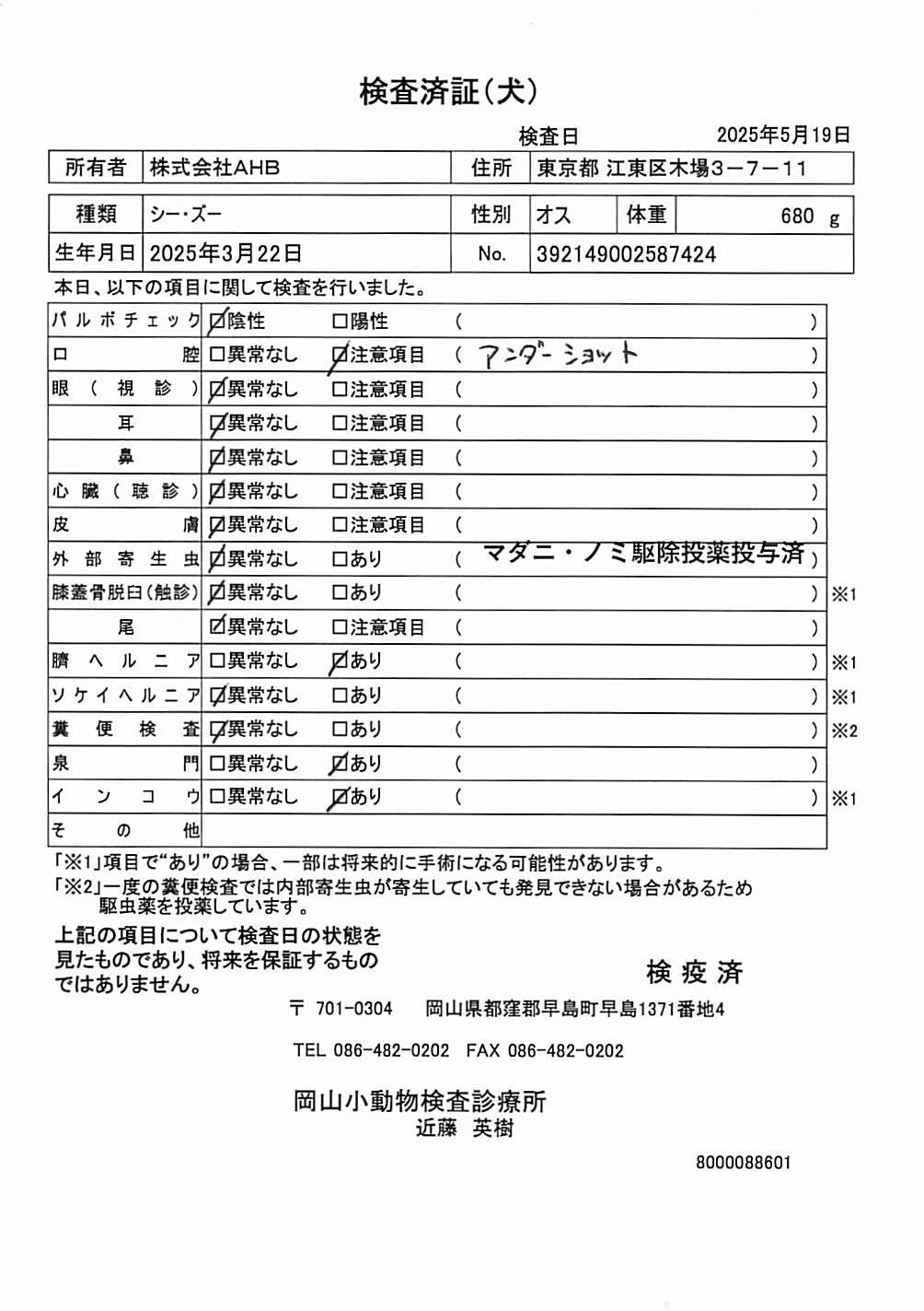 シー・ズー