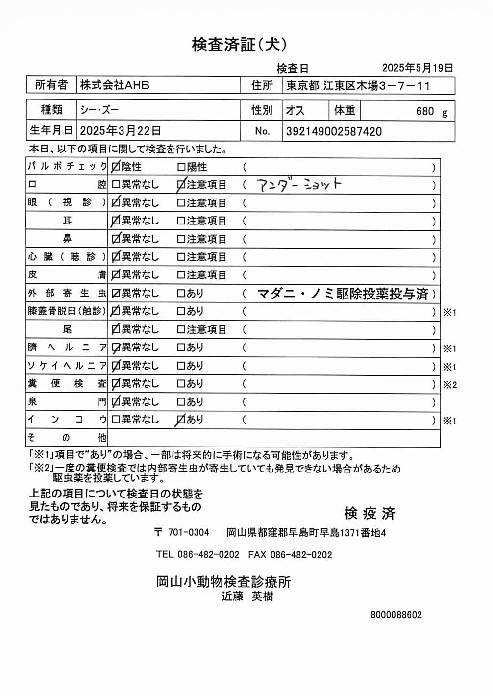 シー・ズー