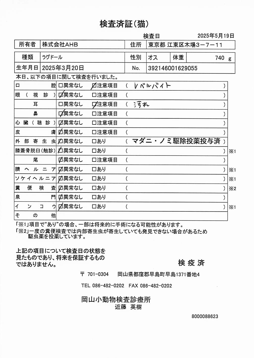 ラグドール
