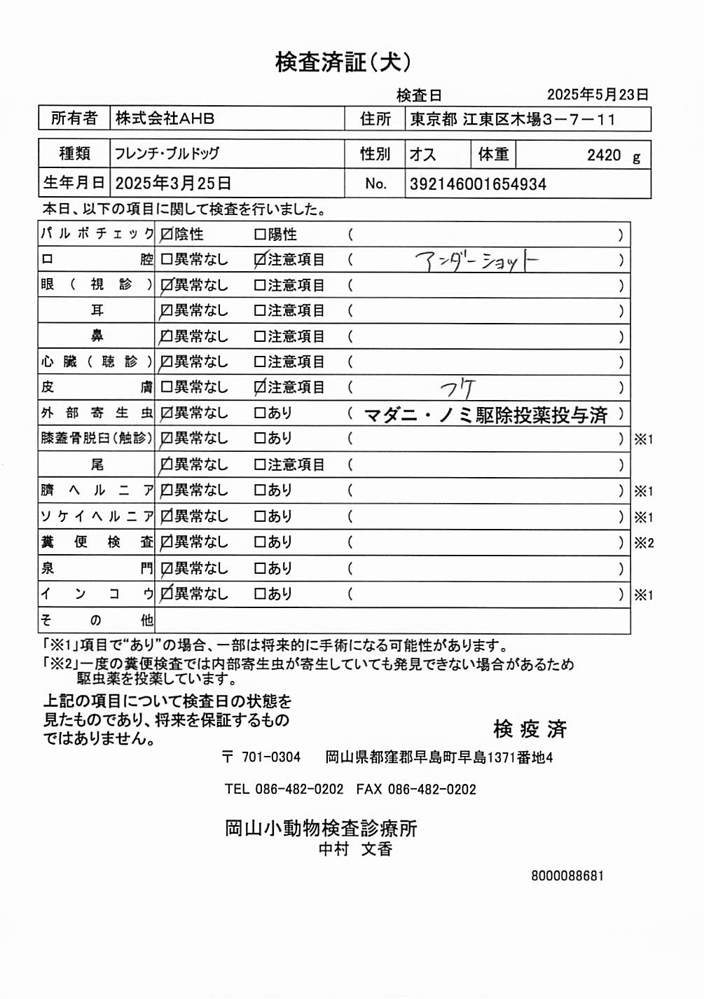 フレンチ・ブルドッグ