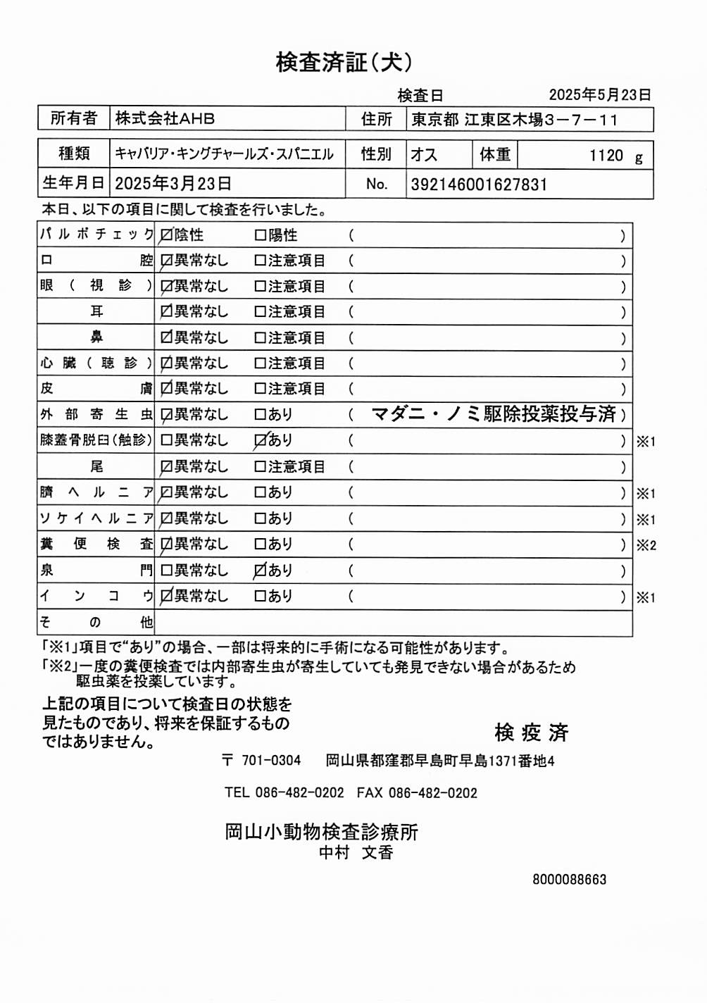 フレンチ・ブルドッグ