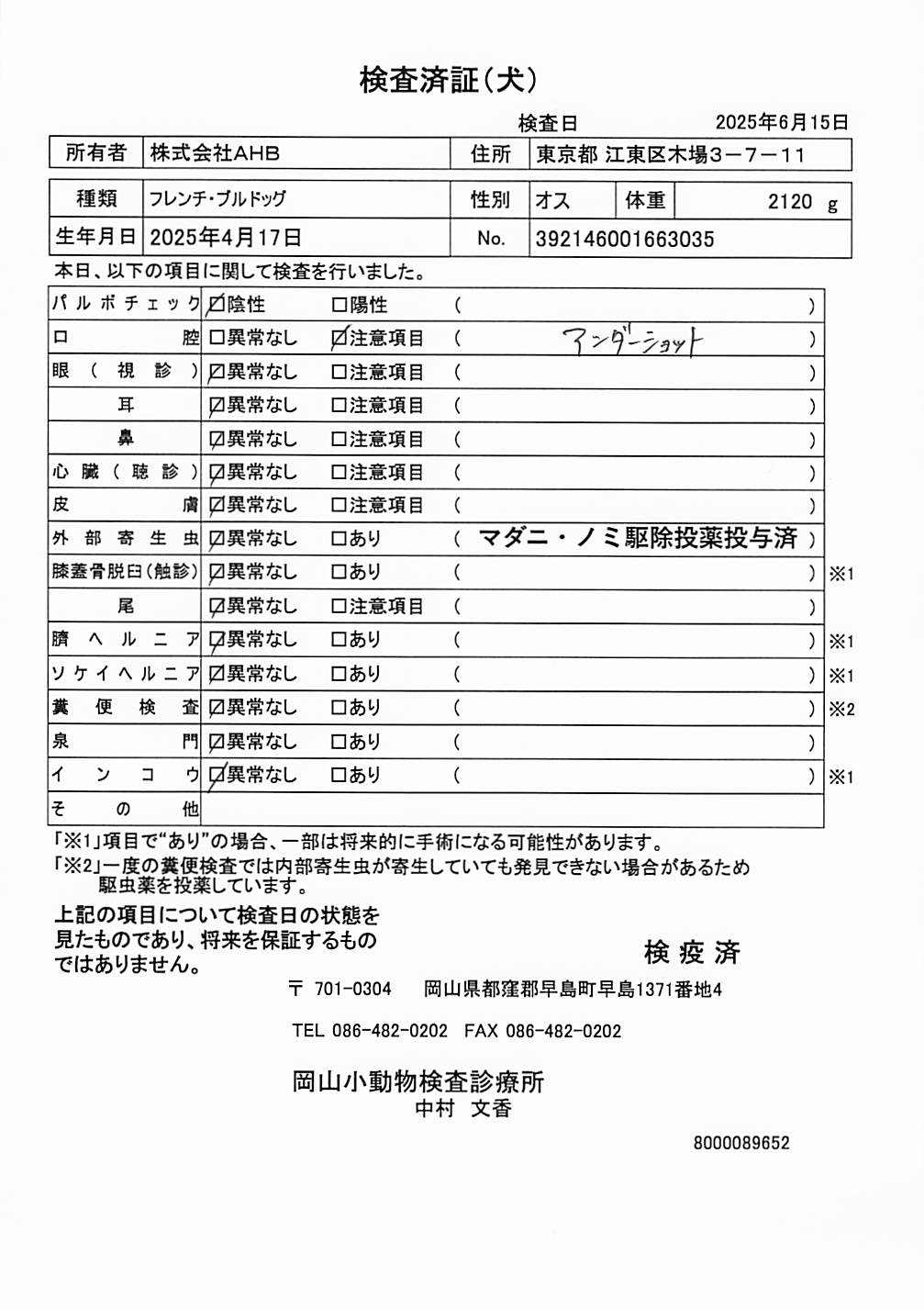 フレンチ・ブルドッグ