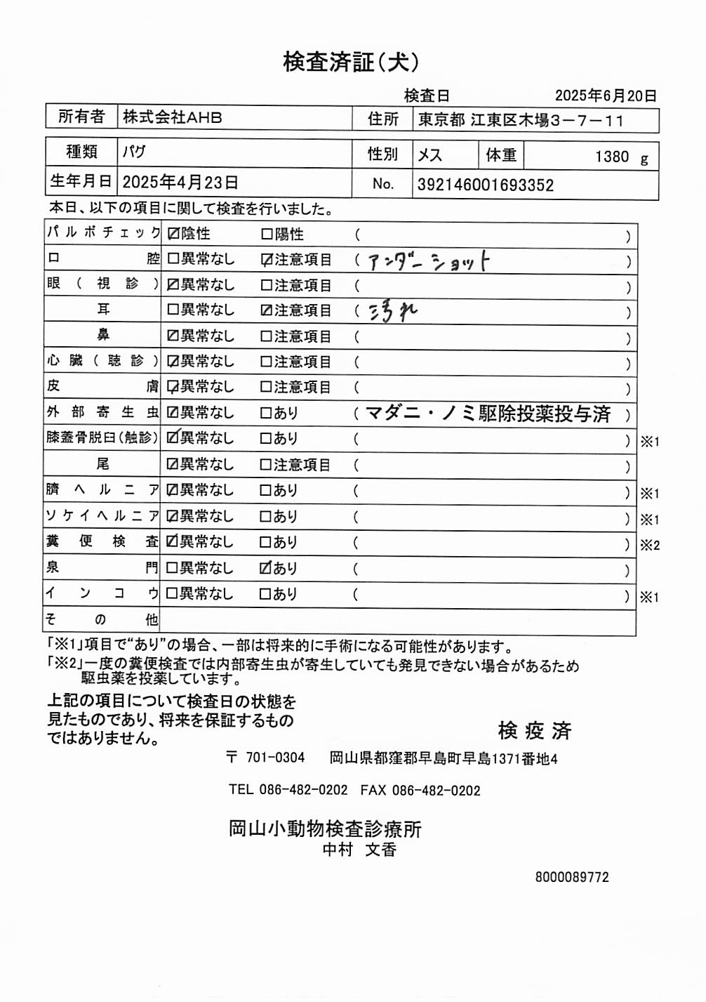 パグ