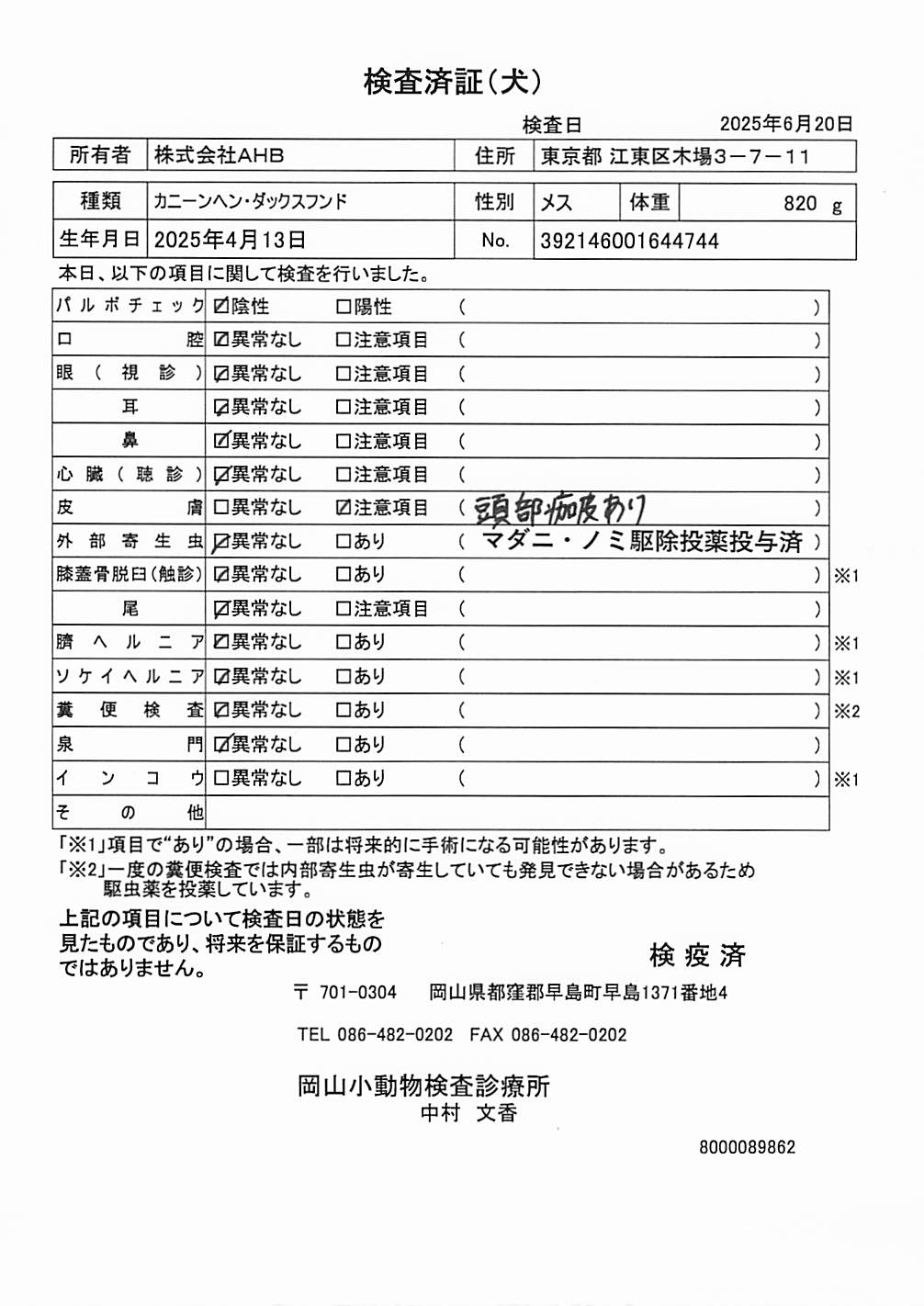 カニーンヘン・ダックスフンド
