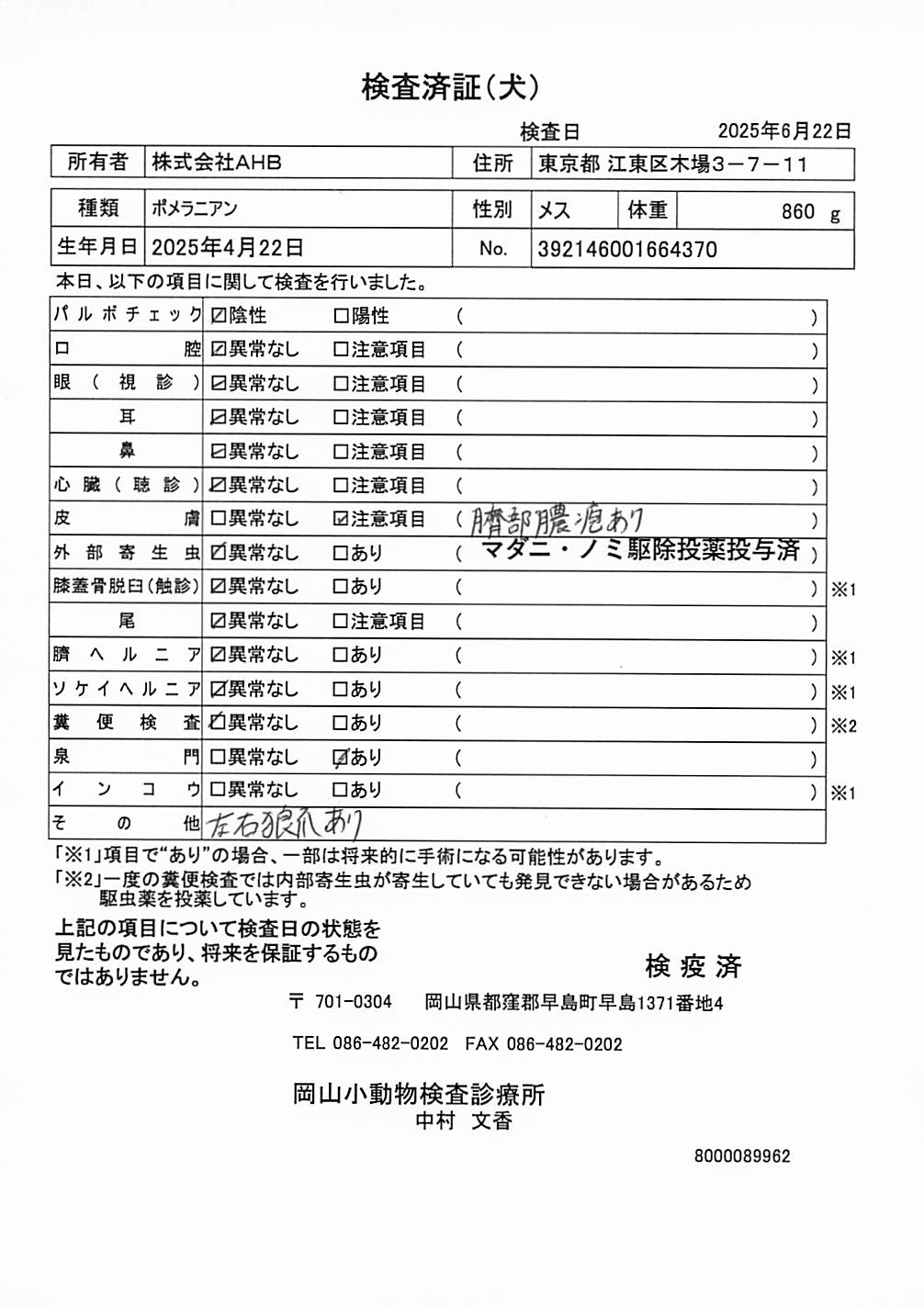 ポメラニアン