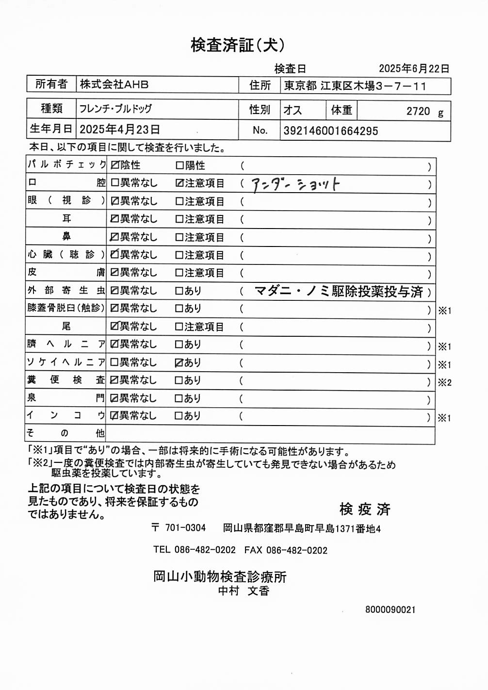 フレンチ・ブルドッグ