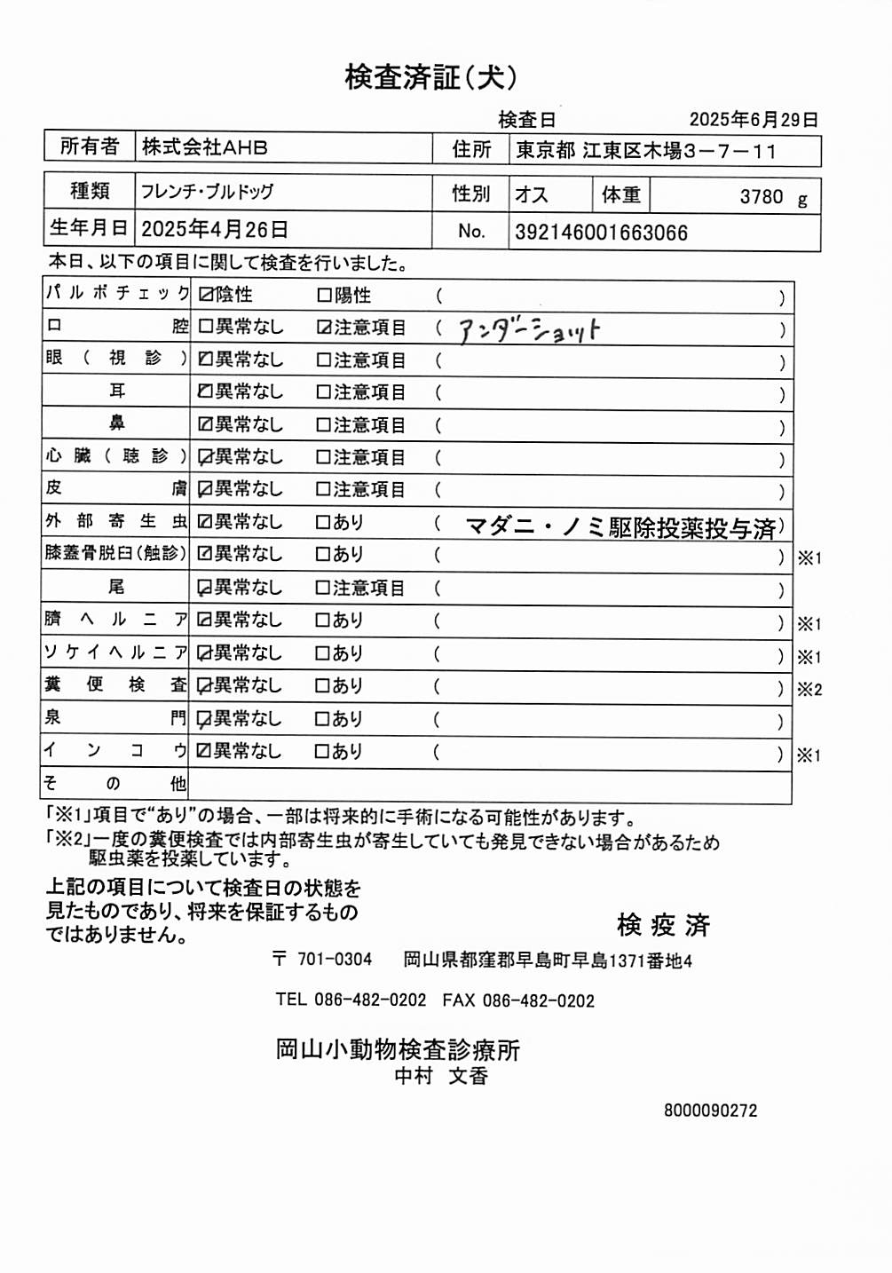 フレンチ・ブルドッグ